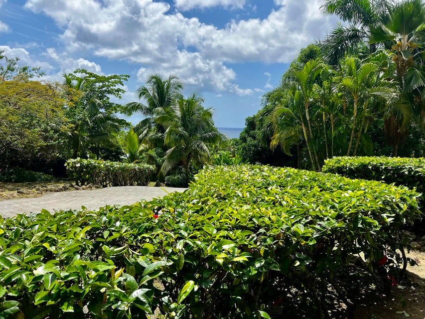 St. Croix, Virgin Islands, 00840, VI, 4 Bedrooms Bedrooms, ,3 BathroomsBathrooms,Residential,For Sale,1838434