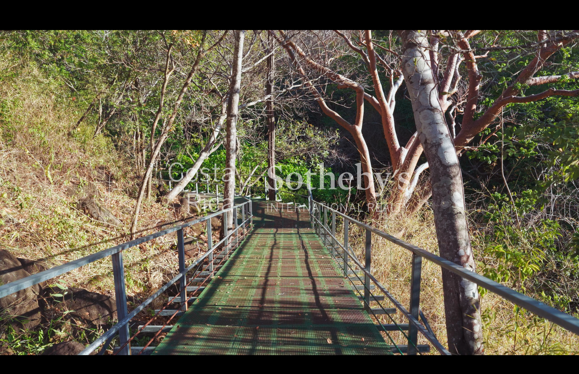  Curubande River Forest Treasure - 物件實景