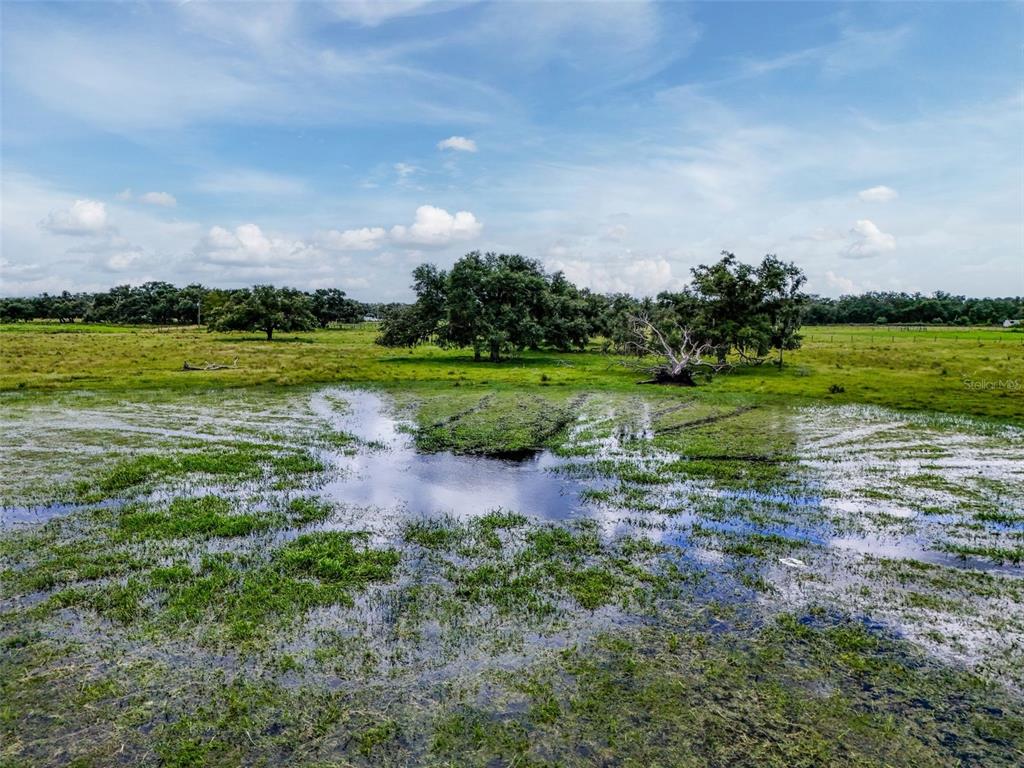 Myakka City, Florida, 34251, United States, ,Land,For Sale,1908306