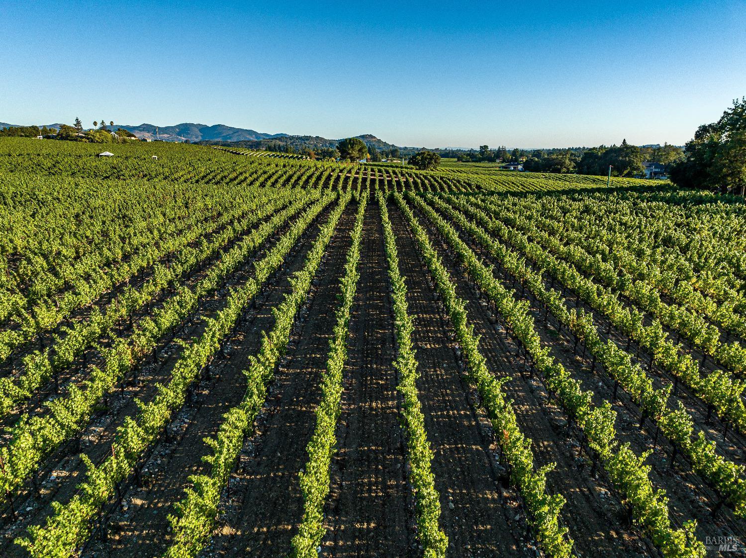Napa, California, 94558, United States, 4 Bedrooms Bedrooms, ,6 BathroomsBathrooms,Residential,For Sale,1847246