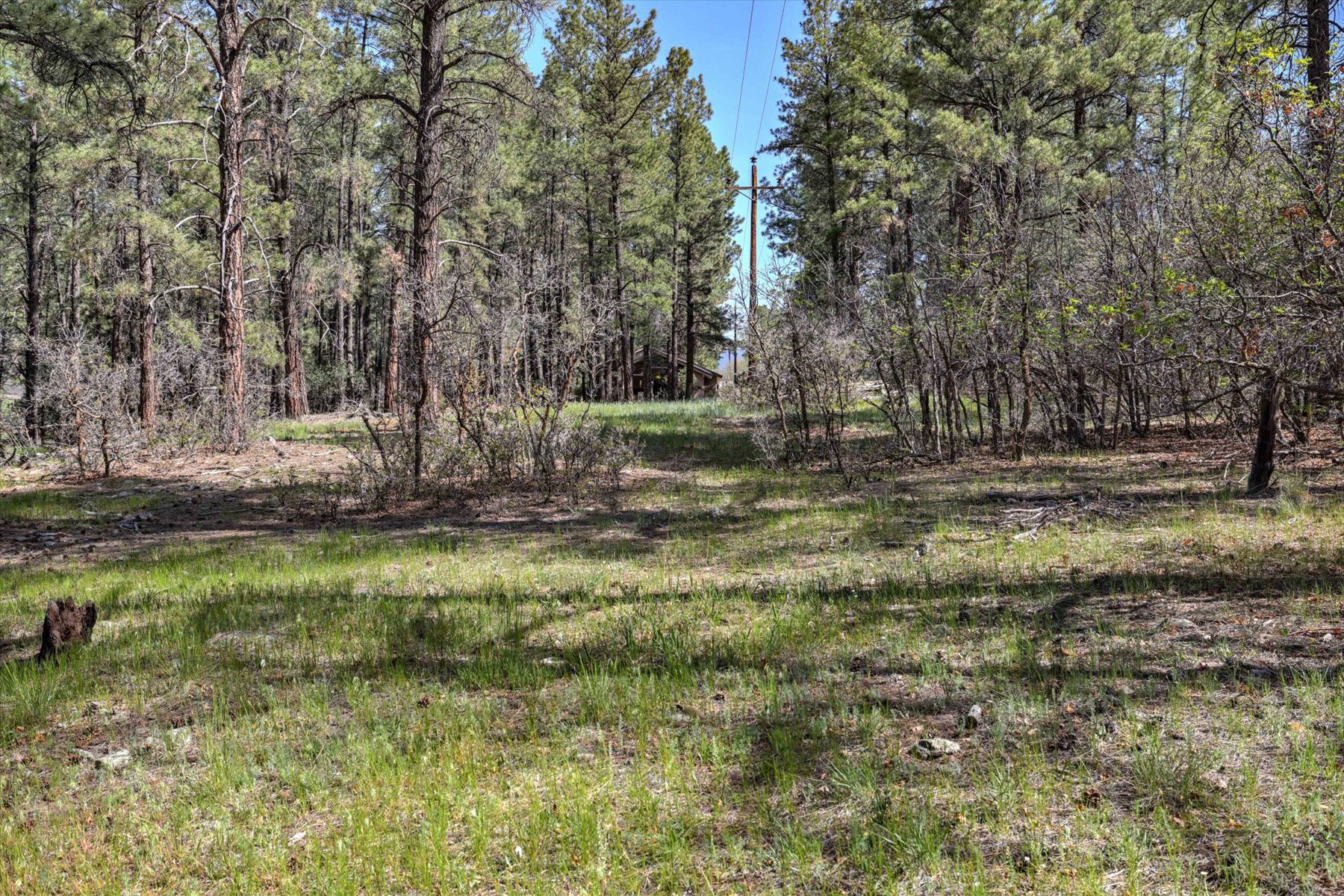  21320 U.S. 160, Pagosa Springs, CO 81147 - 物件實景