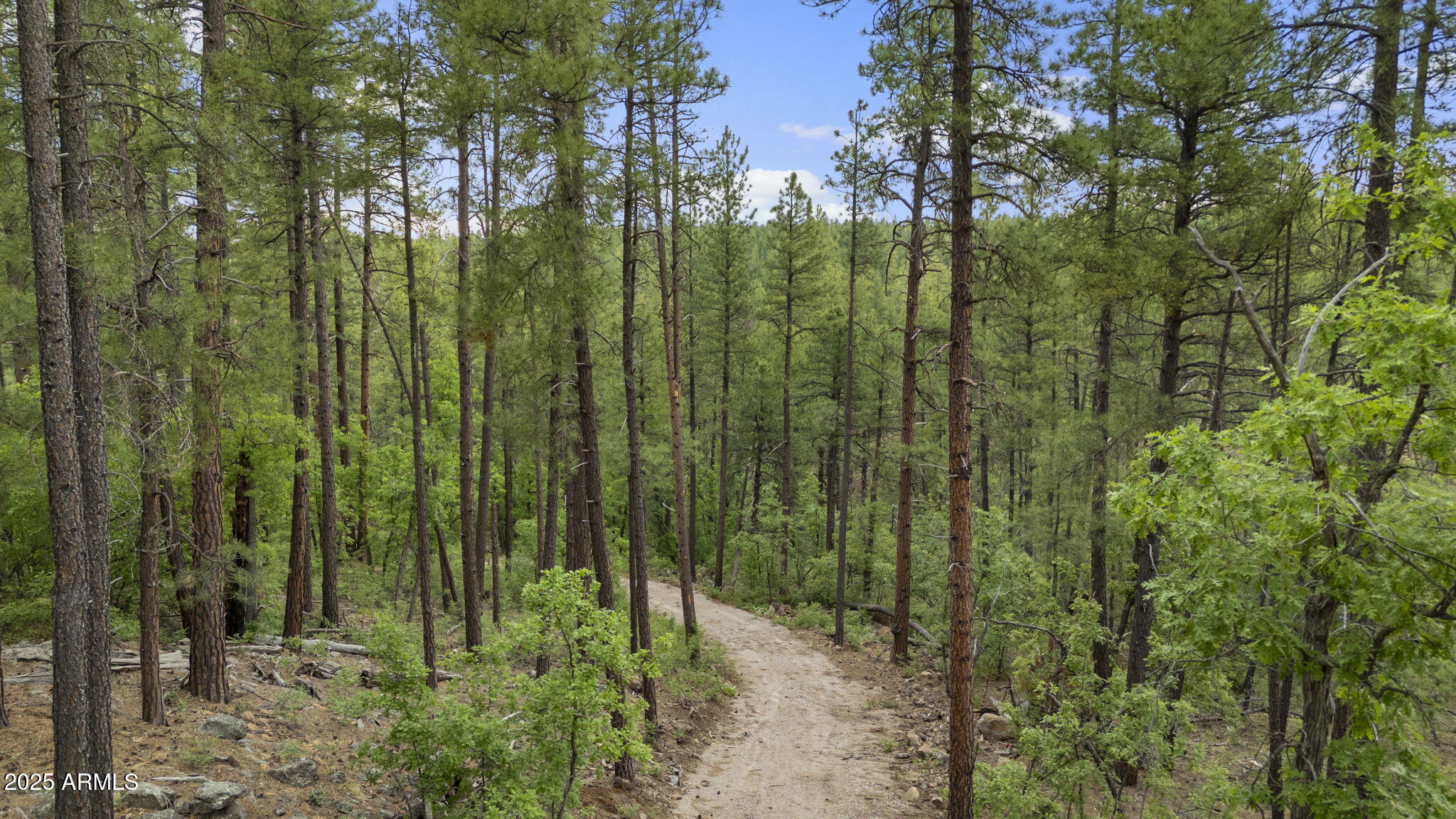 Munds Park, Arizona, 86017, United States, ,Land,For Sale,1865500