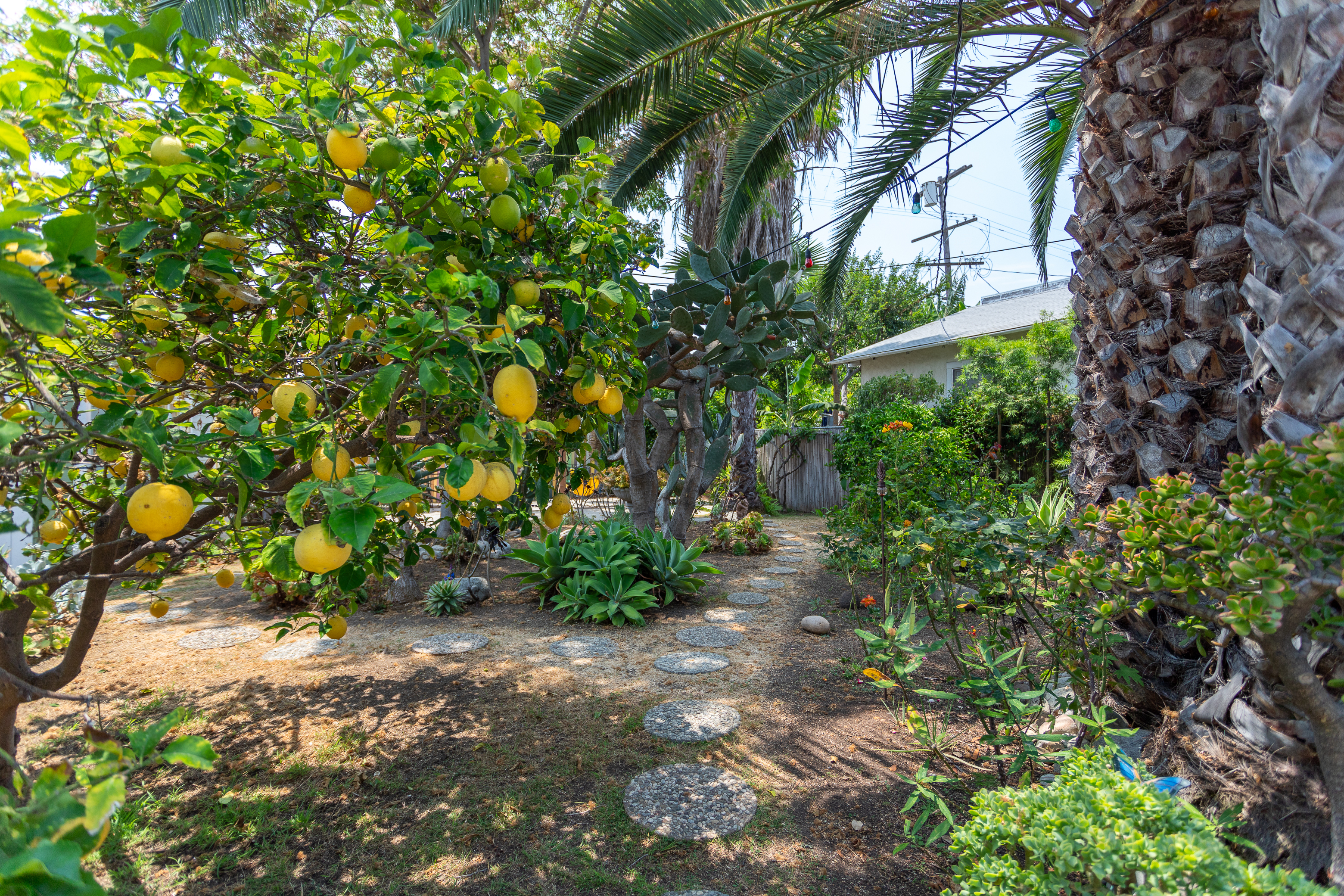  5836 La Mirada Avenue - 物件實景
