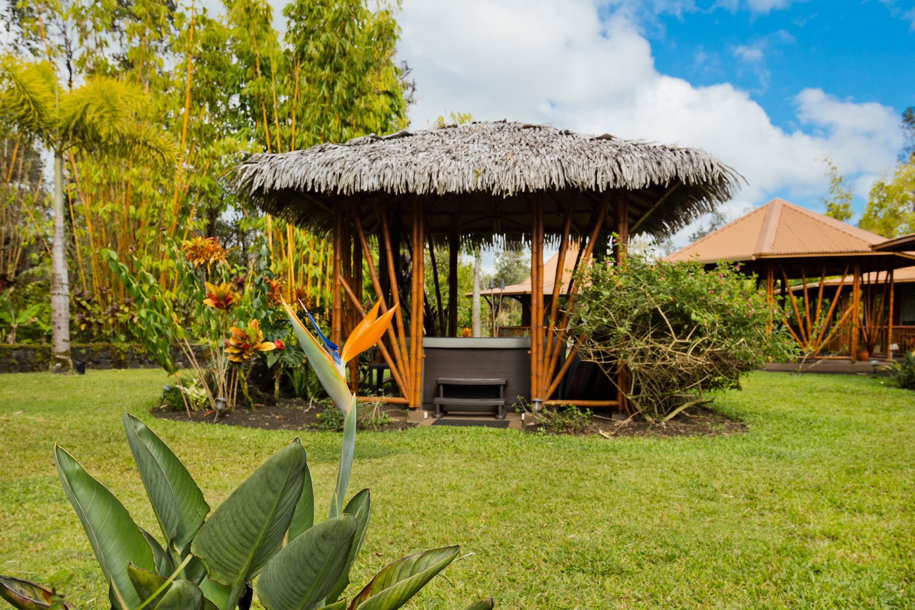  11-2884 Hibiscus Street, Mountain View, HI, 96771 - 物件實景