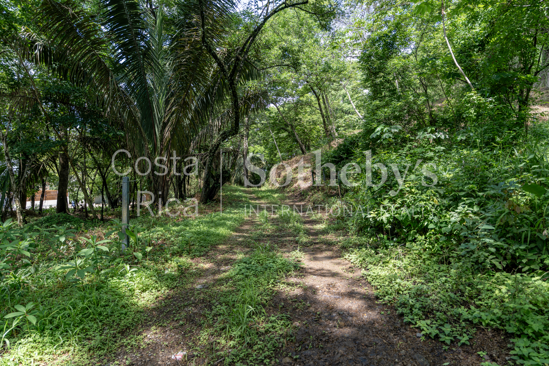  Playa Pelada Large Property - 物件實景