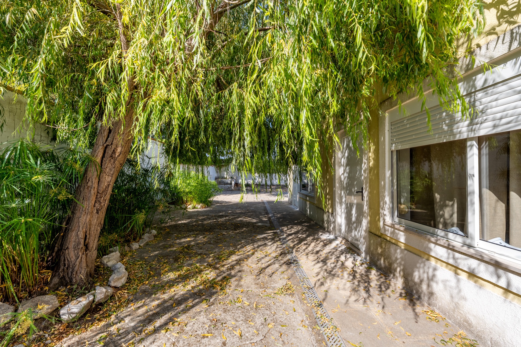  House, 12 bedrooms, for Sale - 物件實景