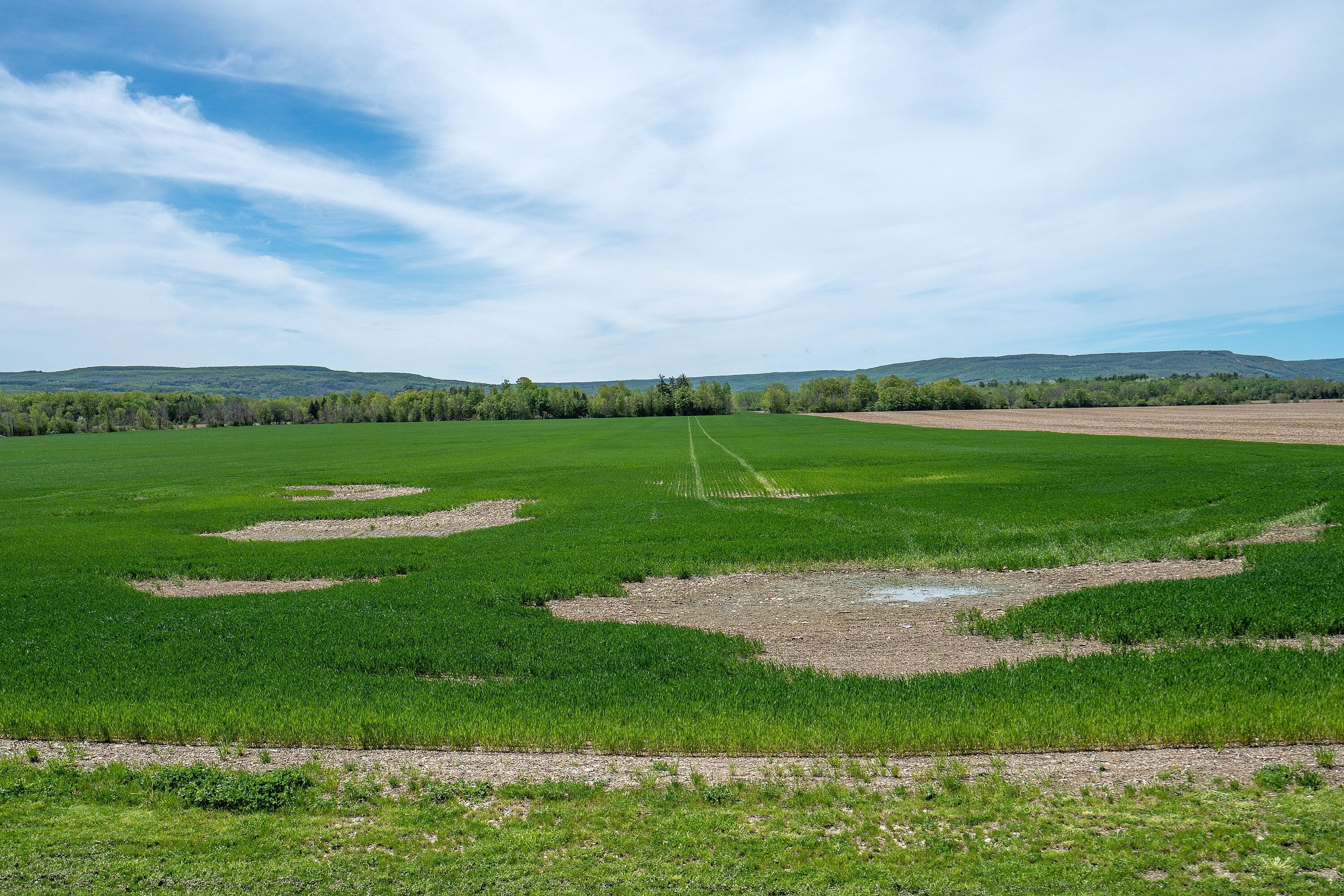  Country Living Escarpment View - 物件實景