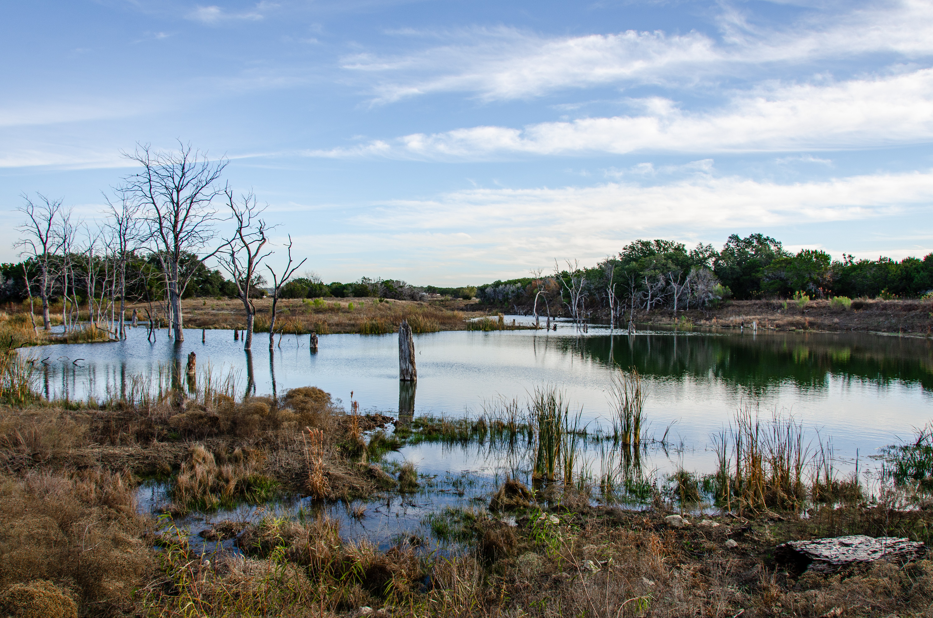  Duck Haven Ranch - 物件實景