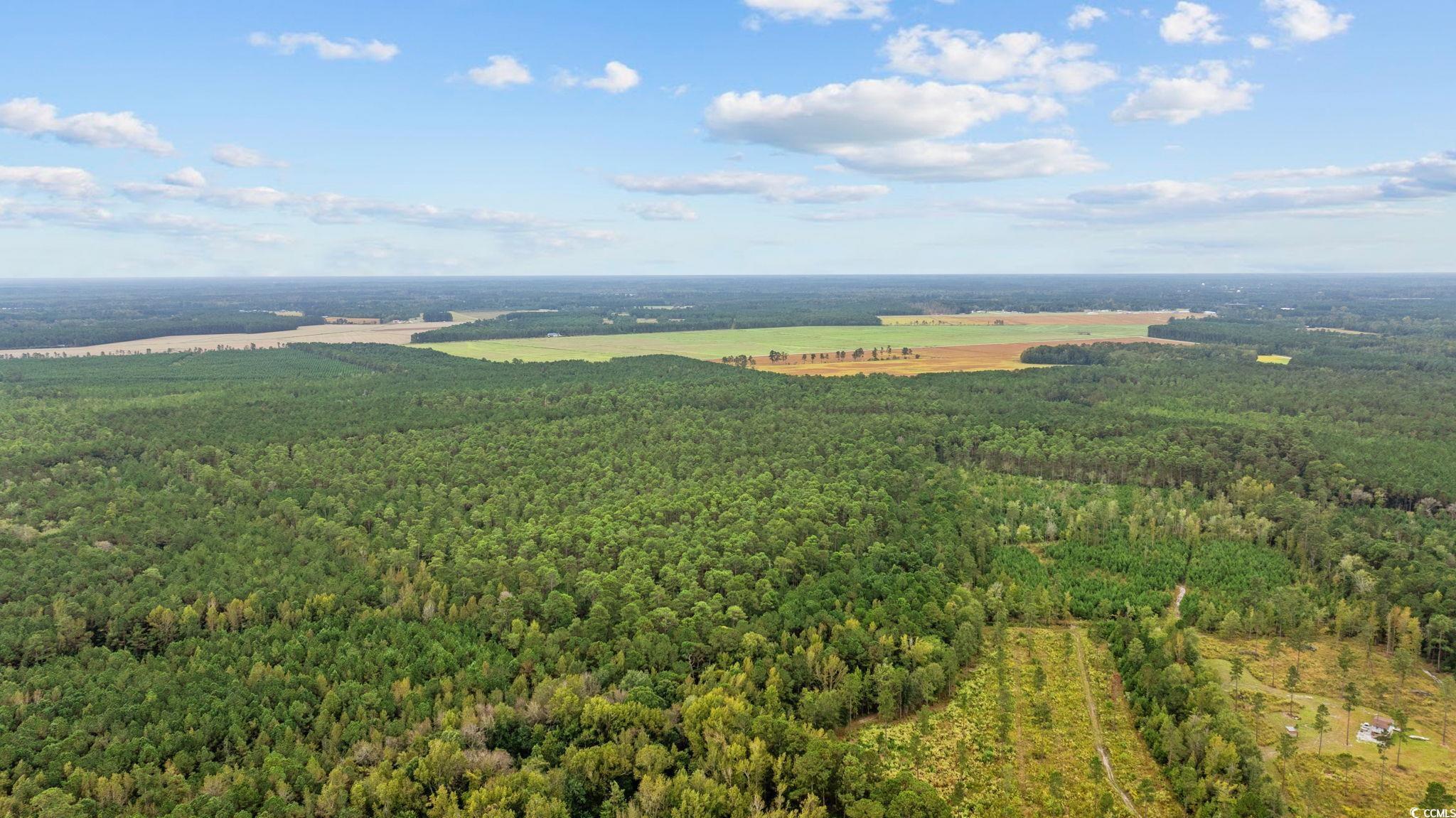 Loris, South Carolina, 29569, United States, ,Land,For Sale,1973987