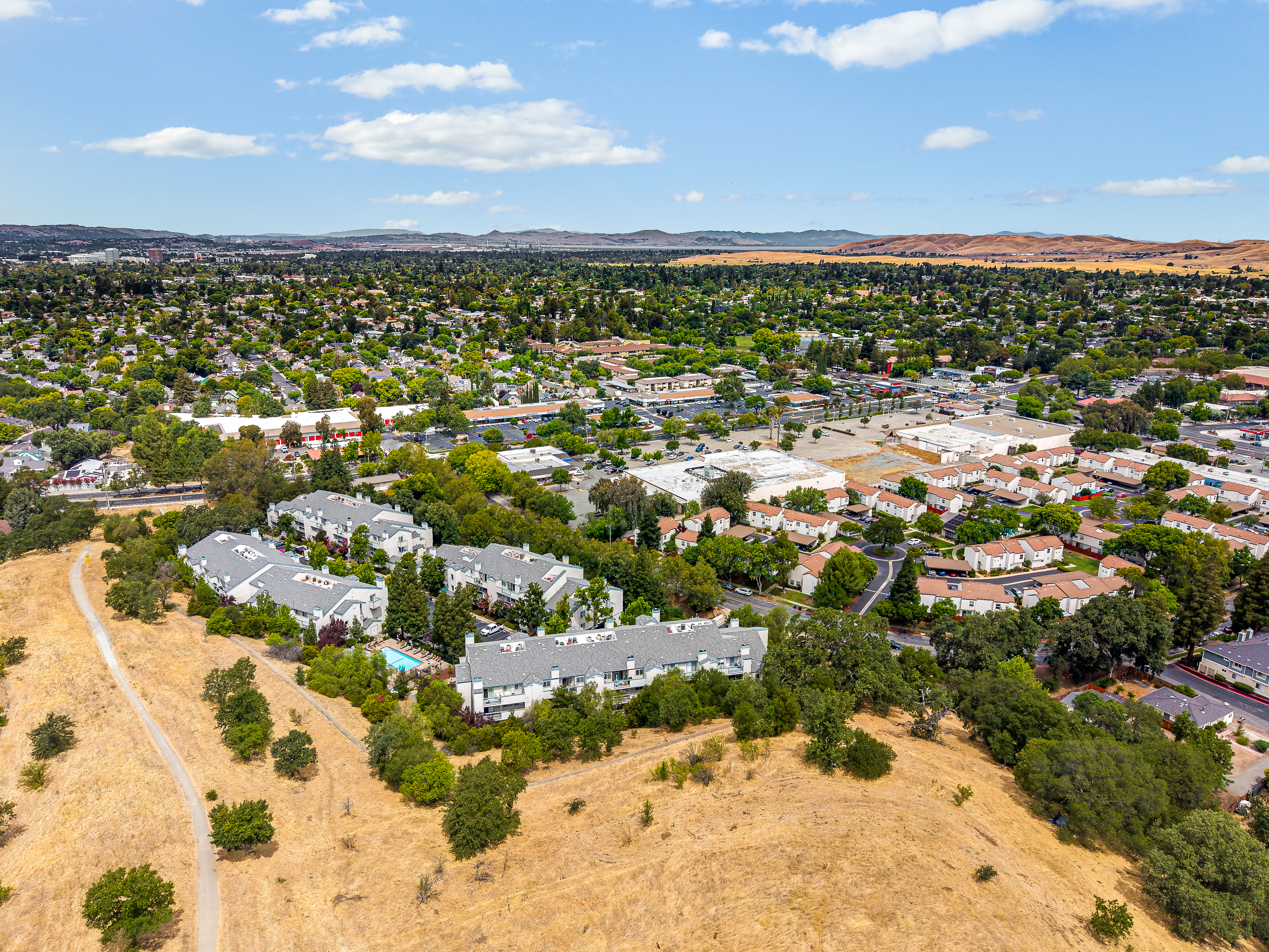  1450 Bel Air Drive, Concord, CA 94521 - 物件實景