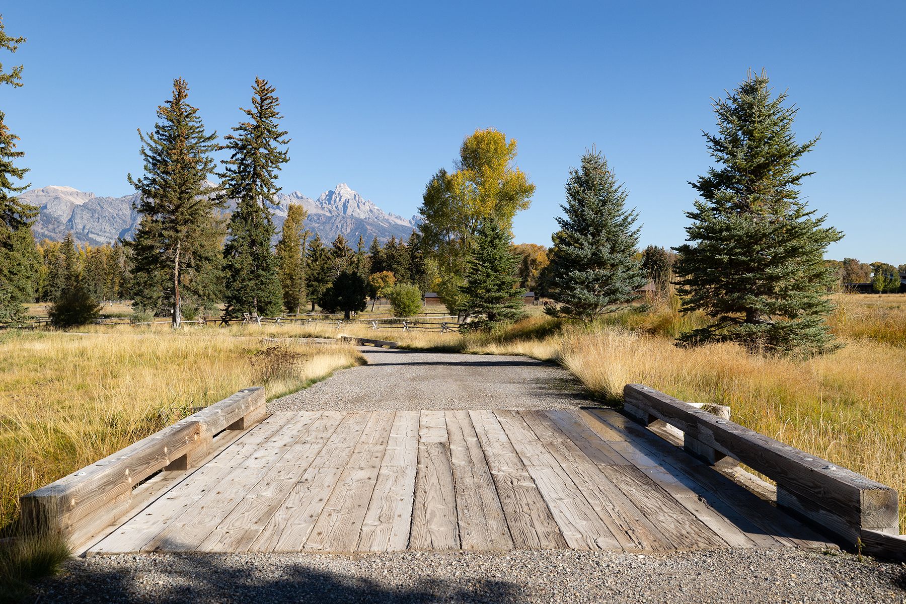 Wapiti Retreat - 物件實景