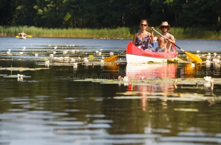 Parrish, Florida, 34219, United States, 4 Bedrooms Bedrooms, ,4 BathroomsBathrooms,Residential,For Sale,1960879