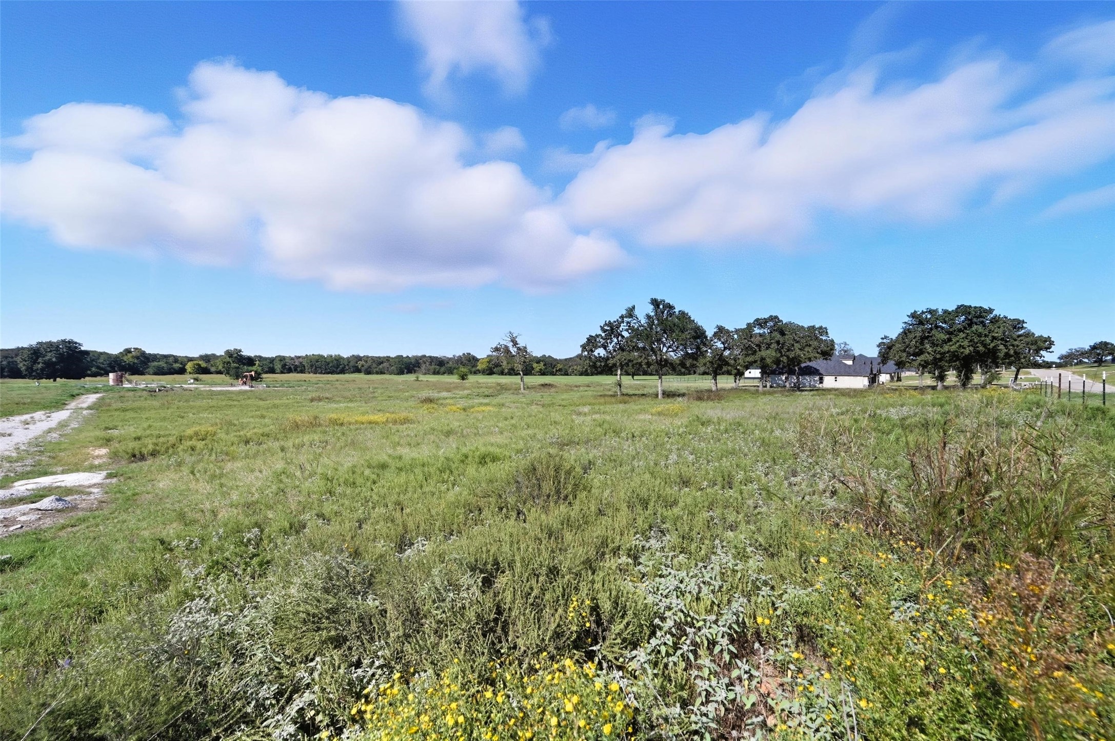 Decatur, Texas, 76234, United States, ,Land,For Sale,1958740