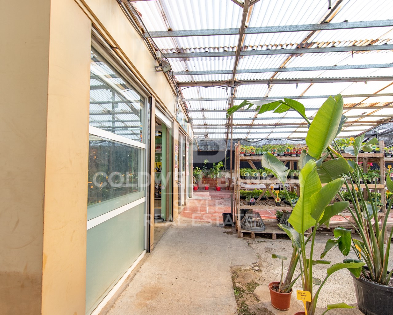 Carrer del Xoriguer Barcelona, Terrassa, Can Palet, Terrassa, Catalonia, 08224, ES, 6 Bedrooms Bedrooms, ,4 BathroomsBathrooms,Residential,For Sale,Carrer del Xoriguer Barcelona, Terrassa, Can Palet,1613953