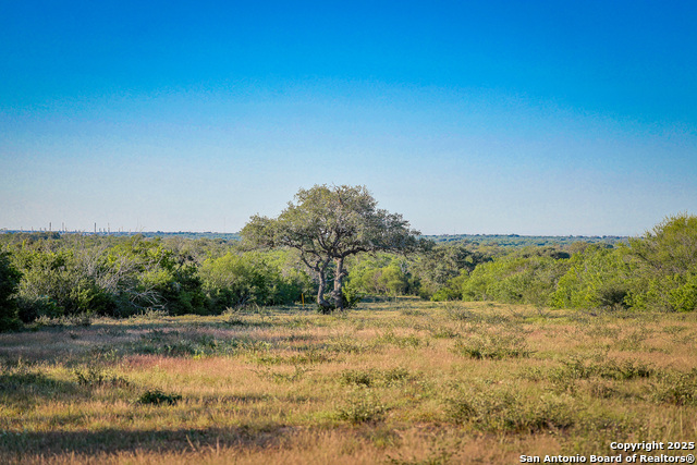 Beeville, Texas, 78102, United States, ,Land,For Sale,1942121