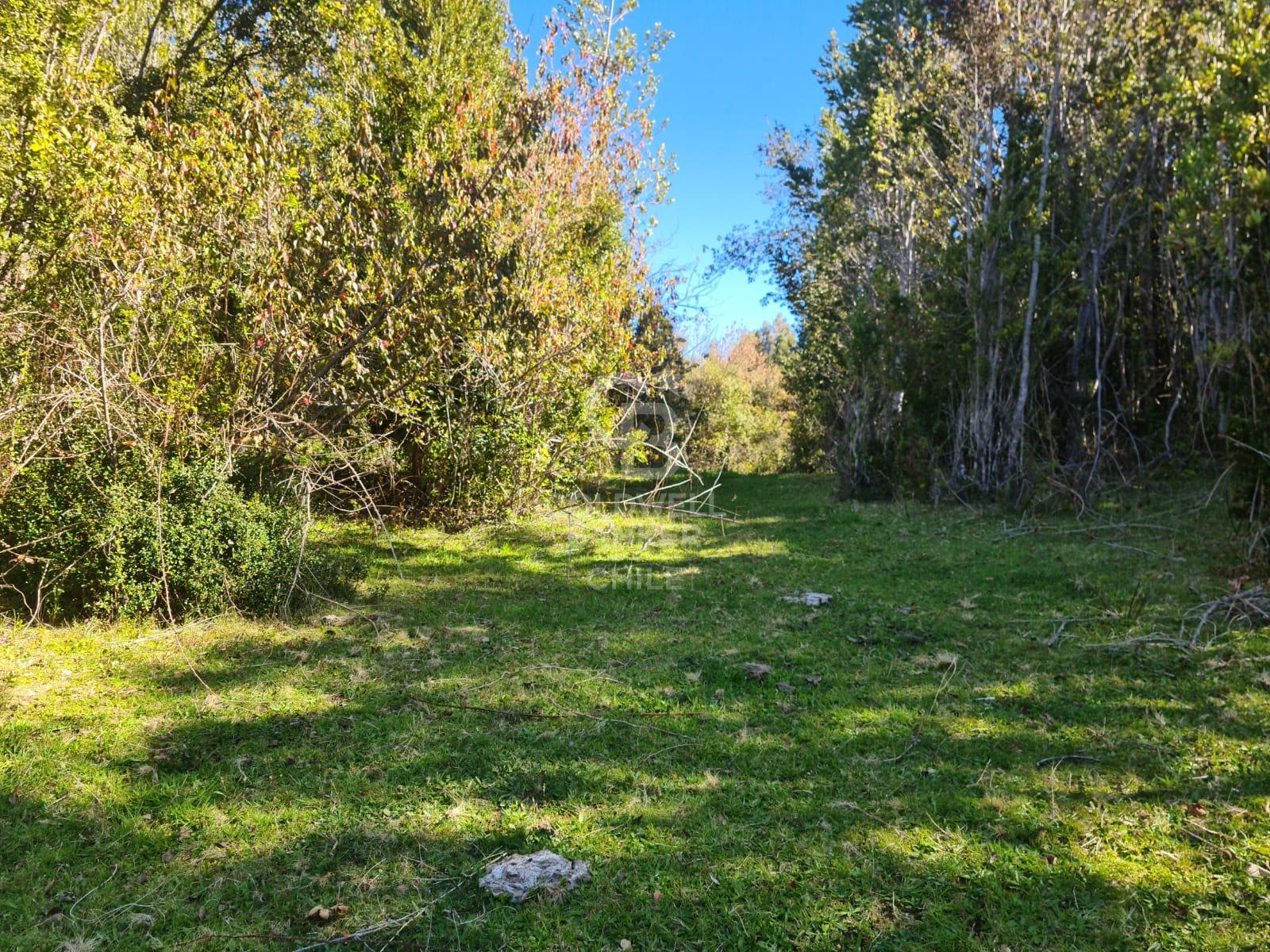 Fresia, Chile, ,Residential,For Sale,1913252