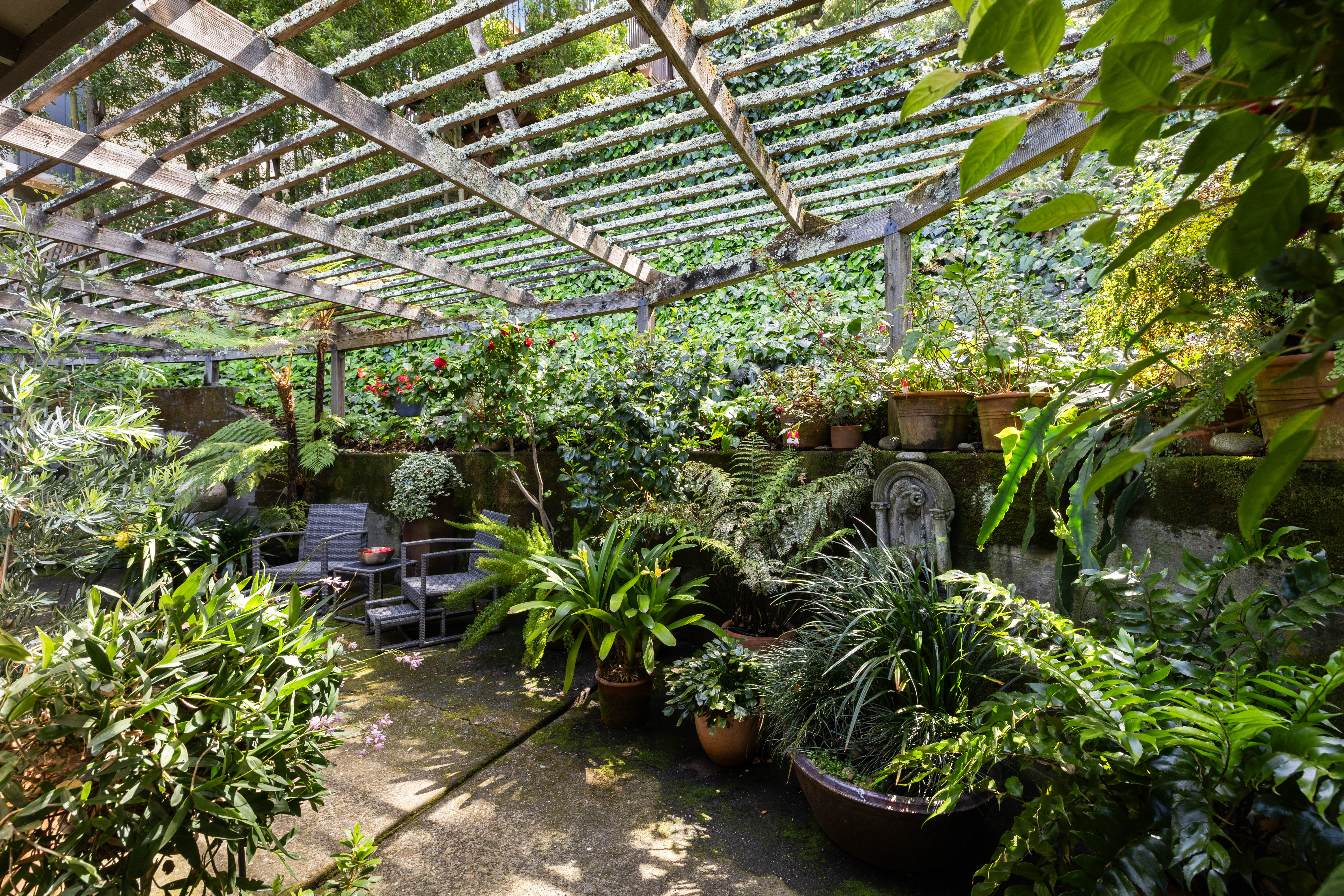  Mid-Century Design and Natural Tranquility in San Rafael’s West End - 物件實景