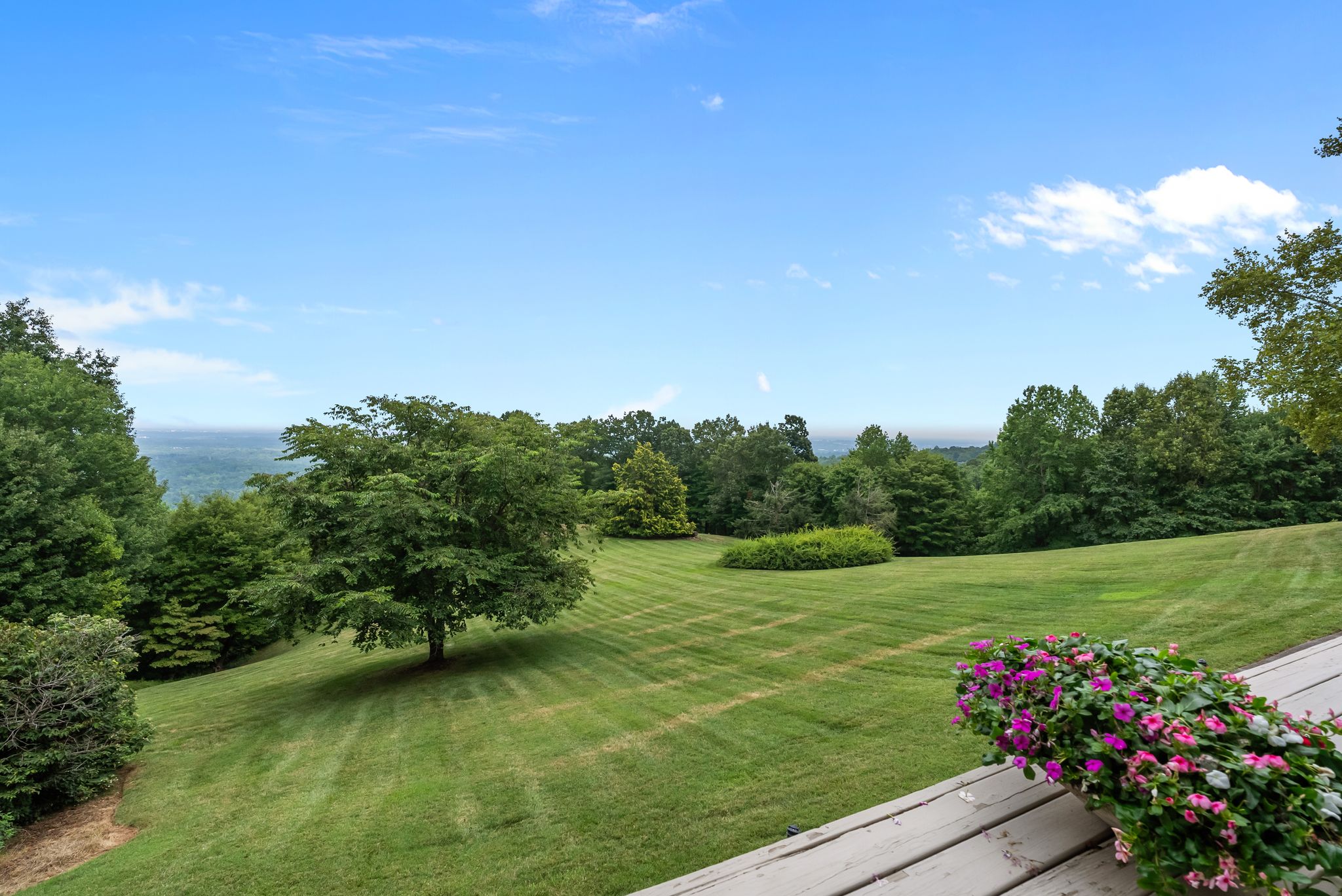  110 Huckleberry Ridge, Greenville, SC 29609 - 物件實景