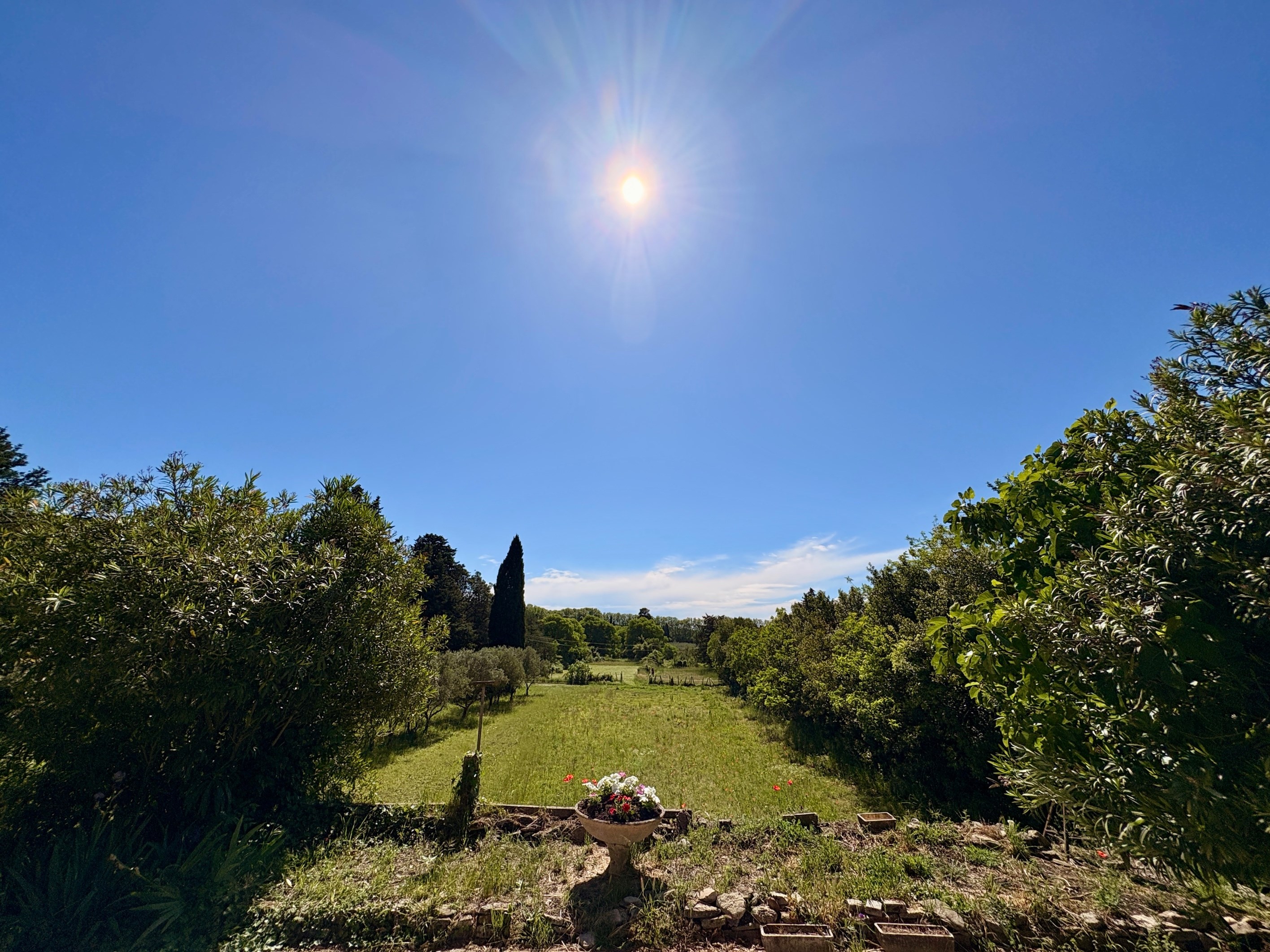  Authentic family farmhouse set in the heart of a private estate of more than 3 … - 物件實景
