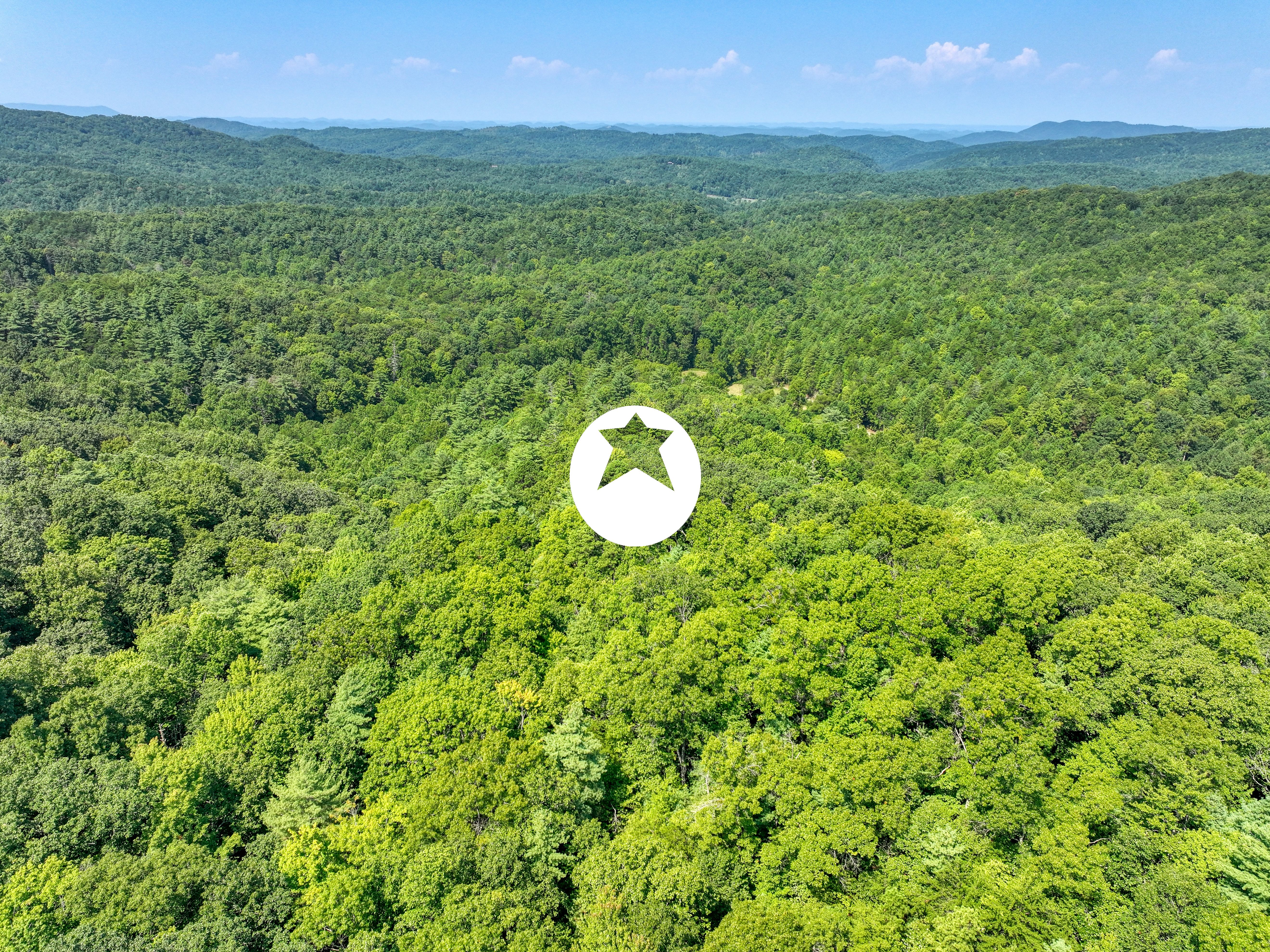  Belcher Loop, Tellico Plains, TN 37385 - 物件實景