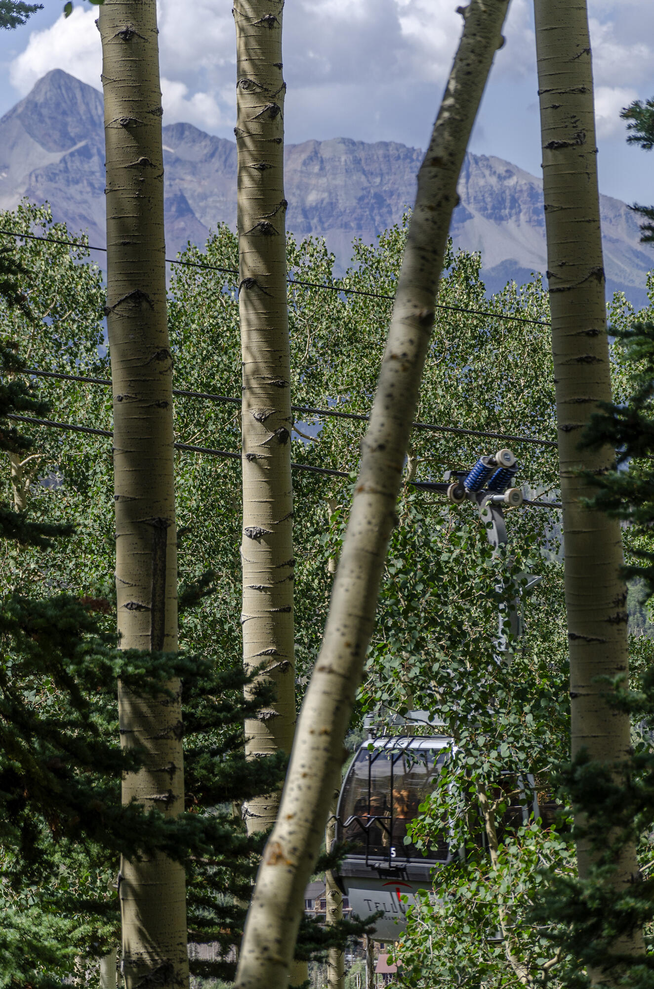 Mountain Village, Colorado, 81435, United States, ,Land,For Sale,1805145