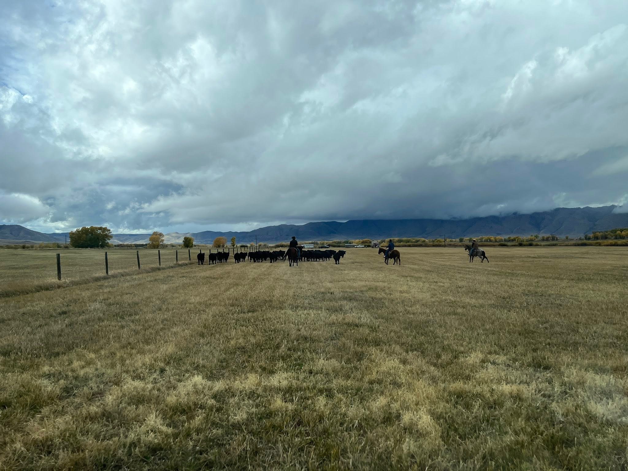 Laramie, Wyoming, 82070, United States, 4 Bedrooms Bedrooms, ,3 BathroomsBathrooms,Residential,For Sale,2048494