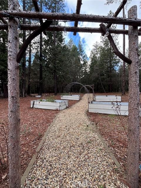 Magalia, California, 95954, United States, 3 Bedrooms Bedrooms, ,3 BathroomsBathrooms,Residential,For Sale,2008831