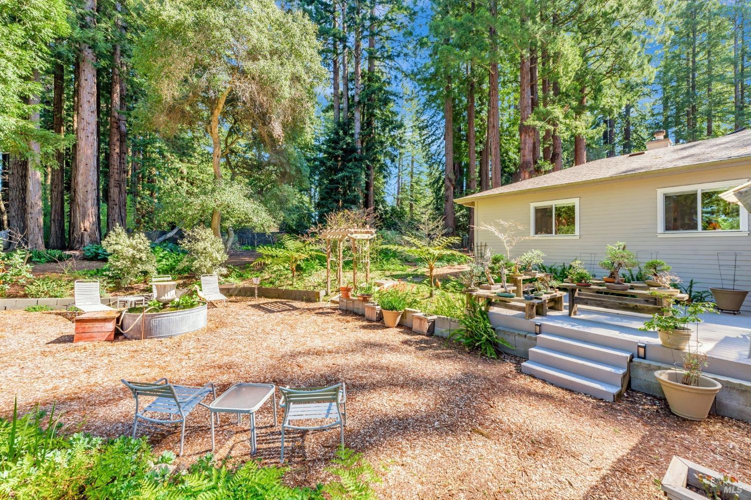 Sebastopol, California, 95472, United States, 4 Bedrooms Bedrooms, ,3 BathroomsBathrooms,Residential,For Sale,1989317