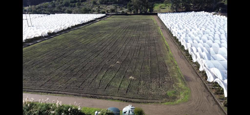 Watsonville, California, 95076, United States, 4 Bedrooms Bedrooms, ,3 BathroomsBathrooms,Residential,For Sale,1982776