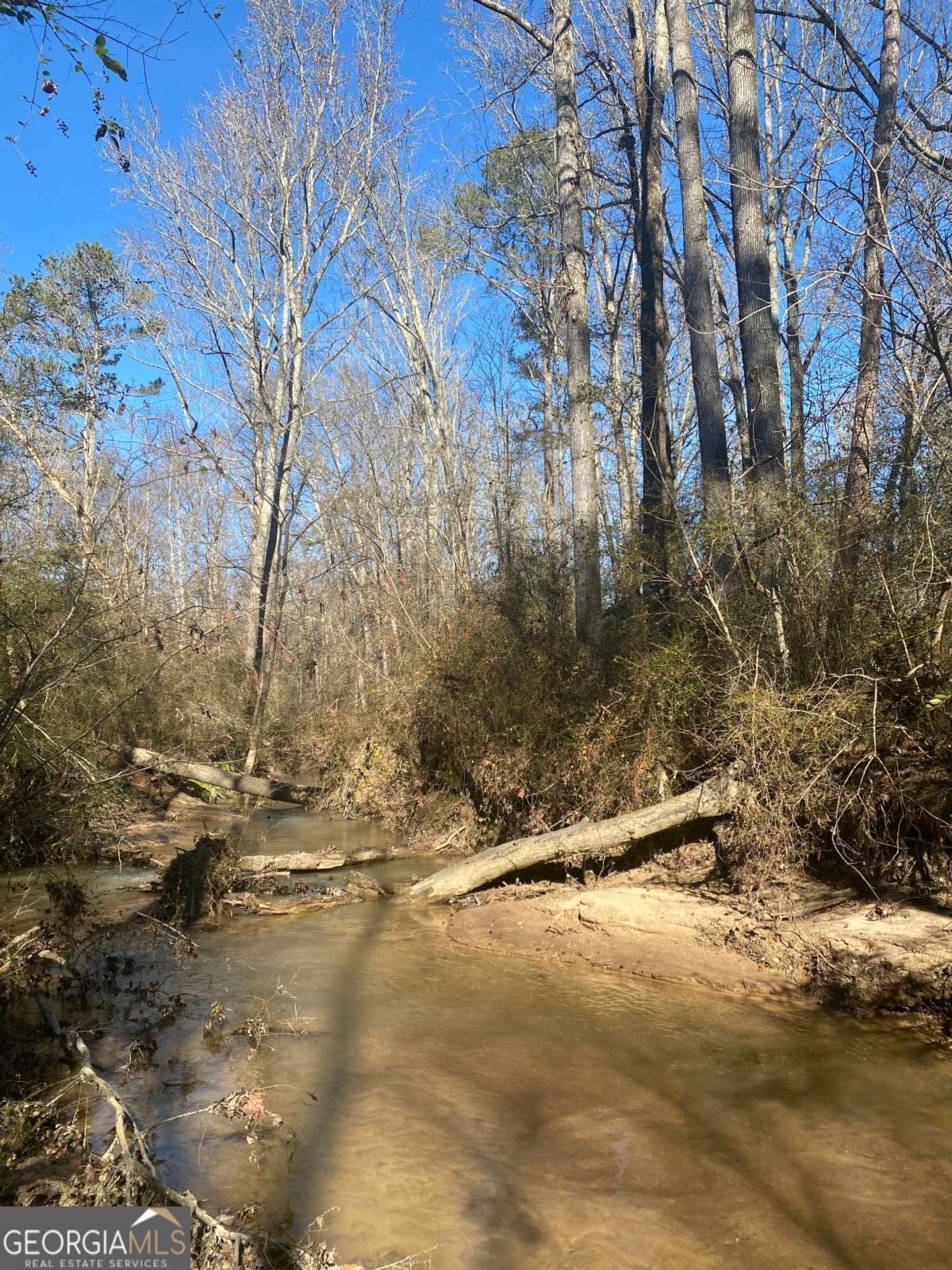 Loganville, Georgia, 30052, United States, ,Land,For Sale,1794501