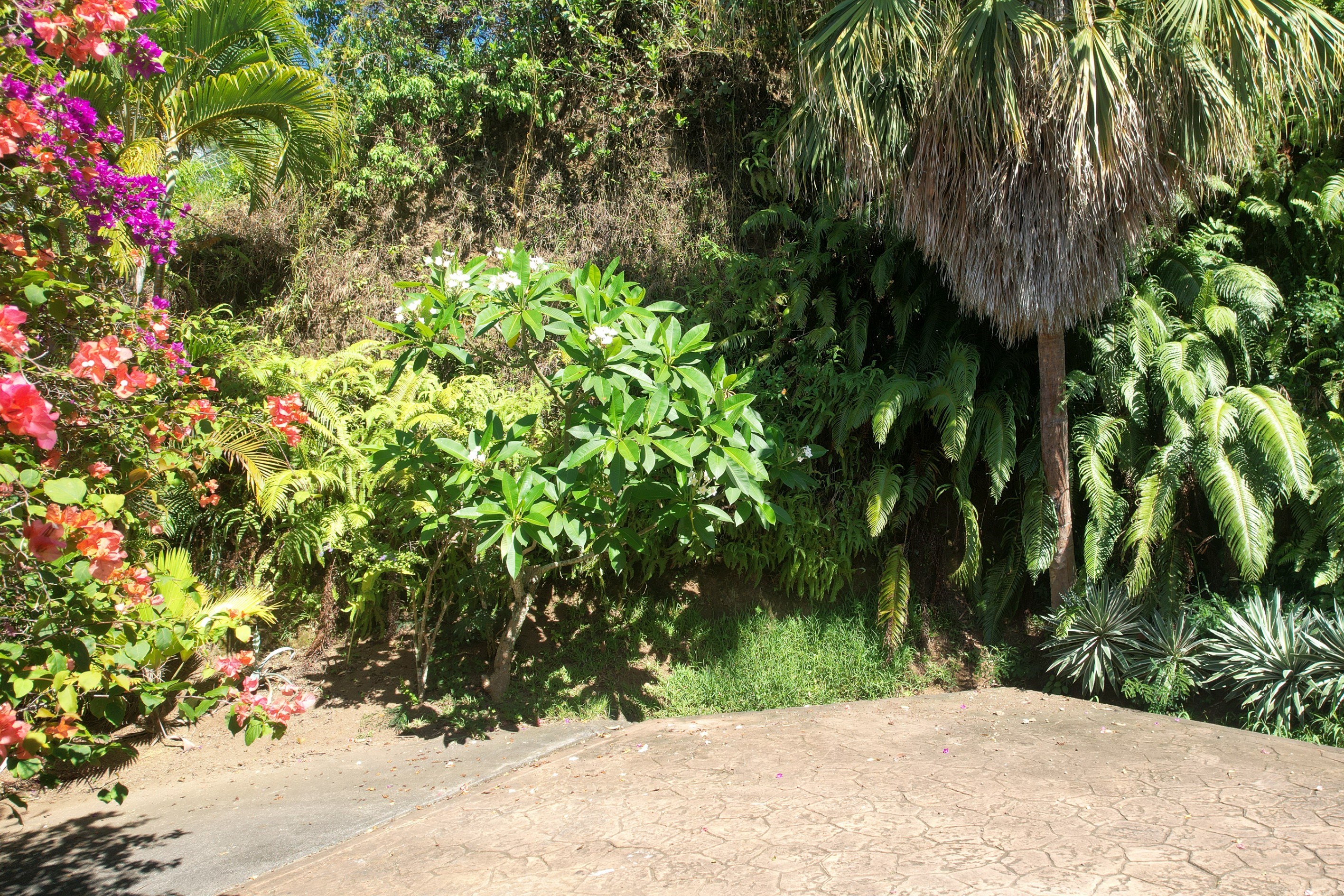  Tahiti - Punaauia - Tropical and authentic villa - 物件實景