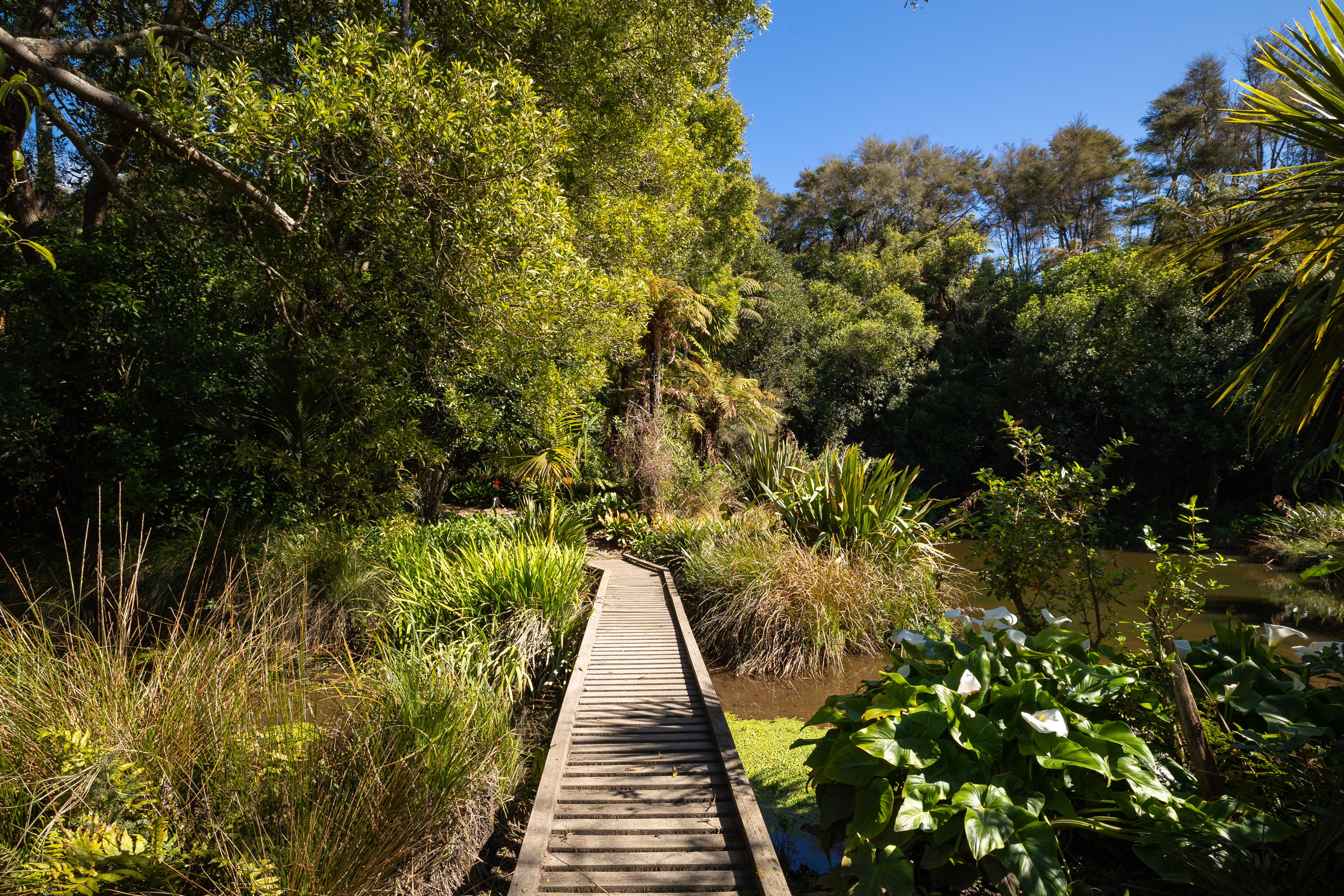  335 Patons Rock Road, Golden Bay - 物件實景