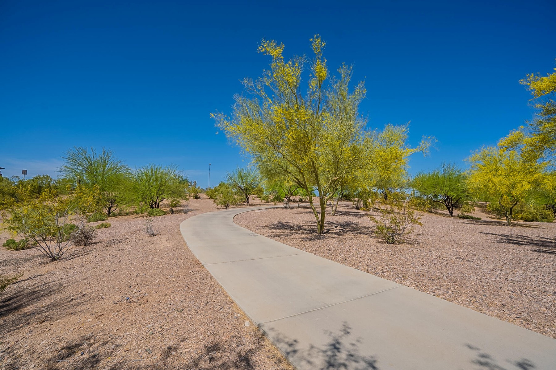  6069 W Estancia Way  Florence, AZ - 物件實景