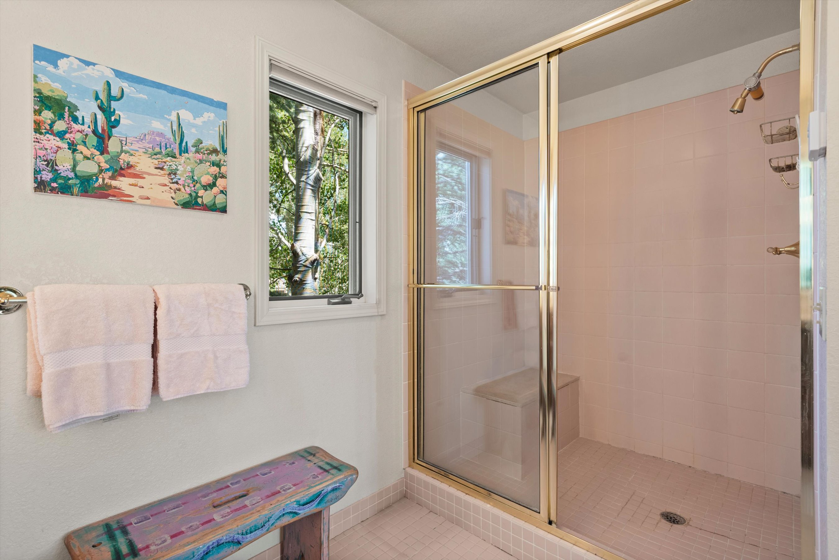  47 Davidson Lane, Snowmass, CO, 81654 - 物件實景