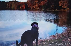 Carmel, New York, 10512, United States, 3 Bedrooms Bedrooms, ,2 BathroomsBathrooms,Residential,For Sale,2006198