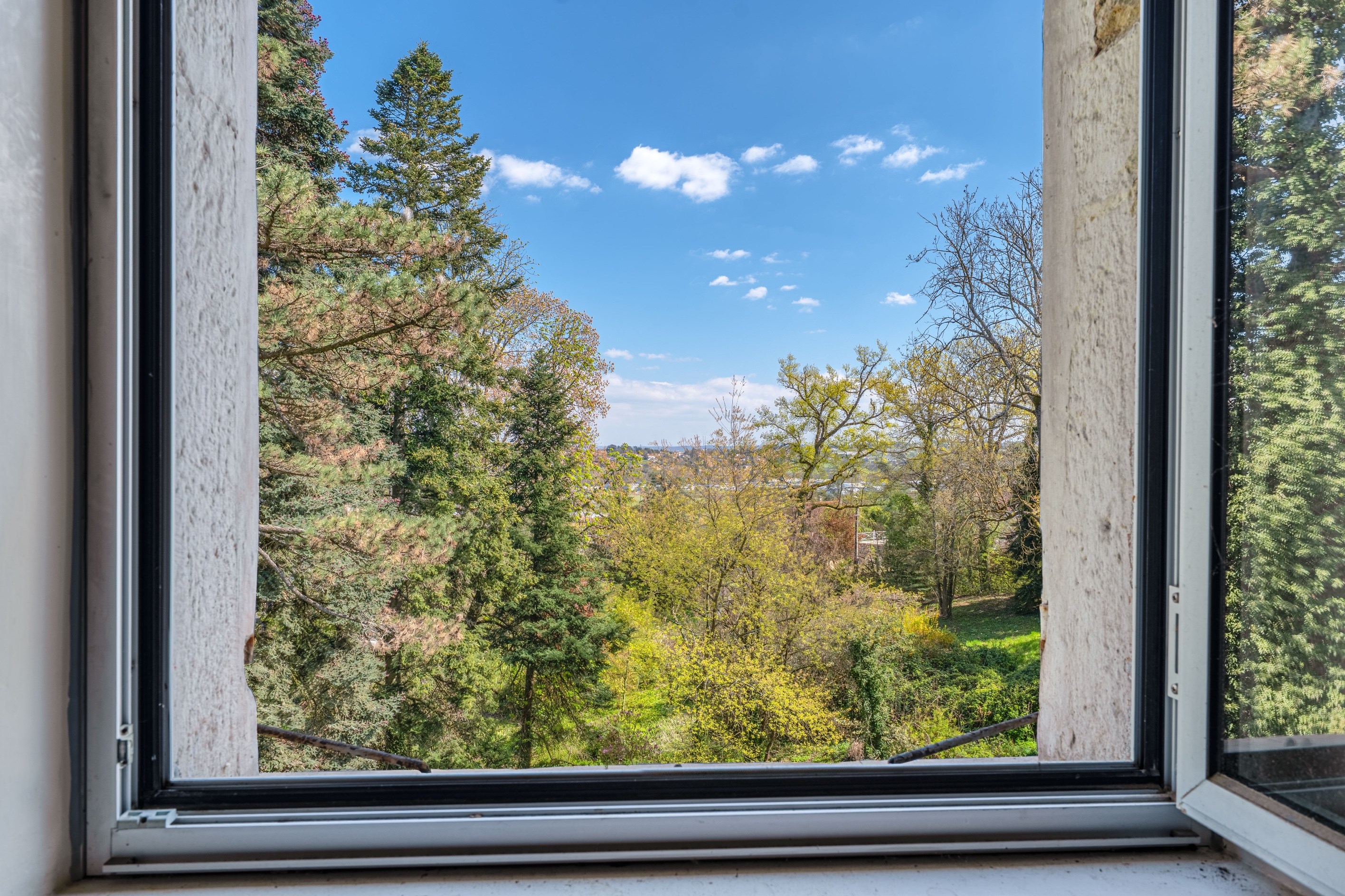  Maison - 物件實景