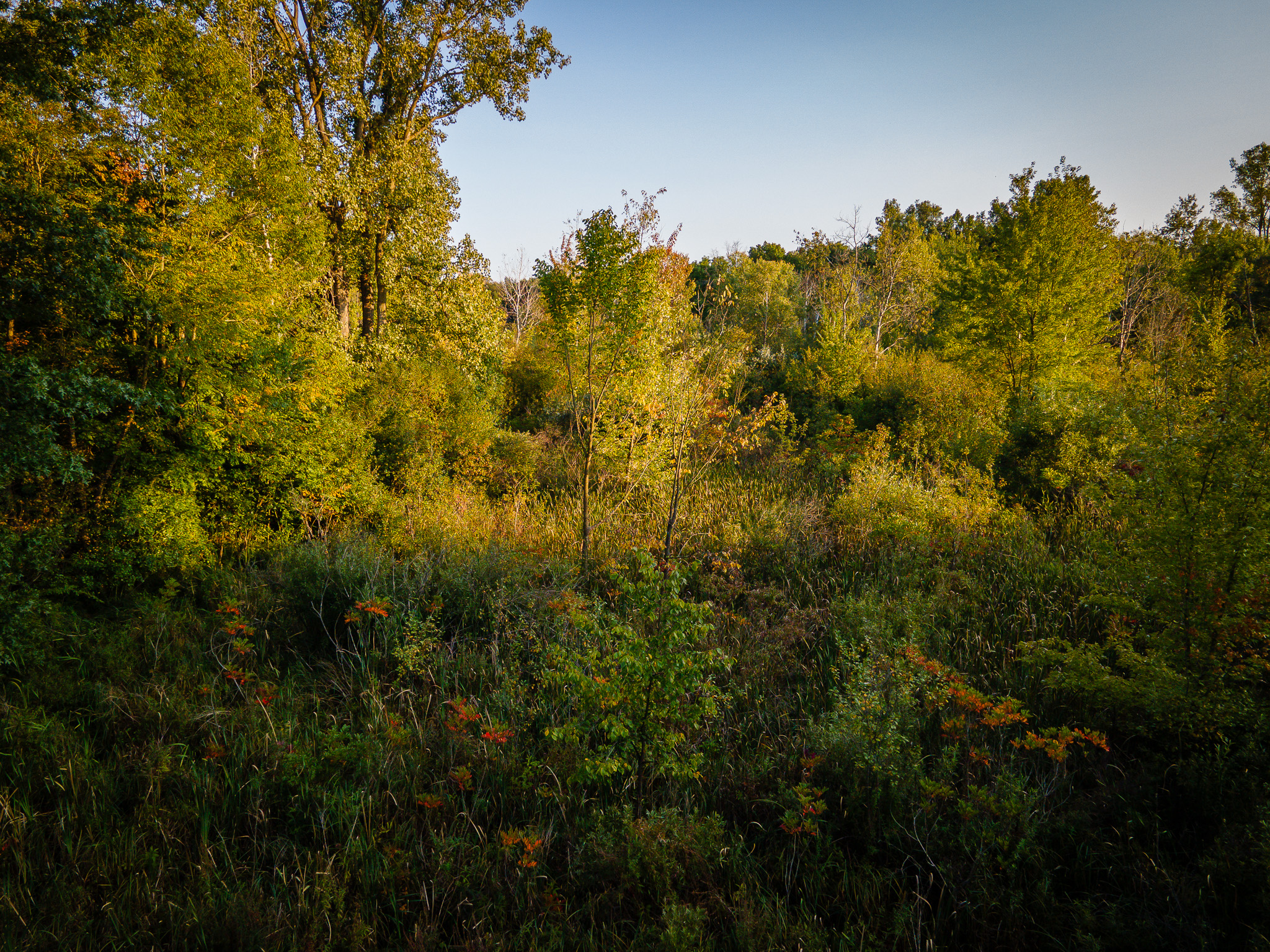 Jackson, Michigan, 49201, United States, 4 Bedrooms Bedrooms, ,2 BathroomsBathrooms,Residential,For Sale,1981022