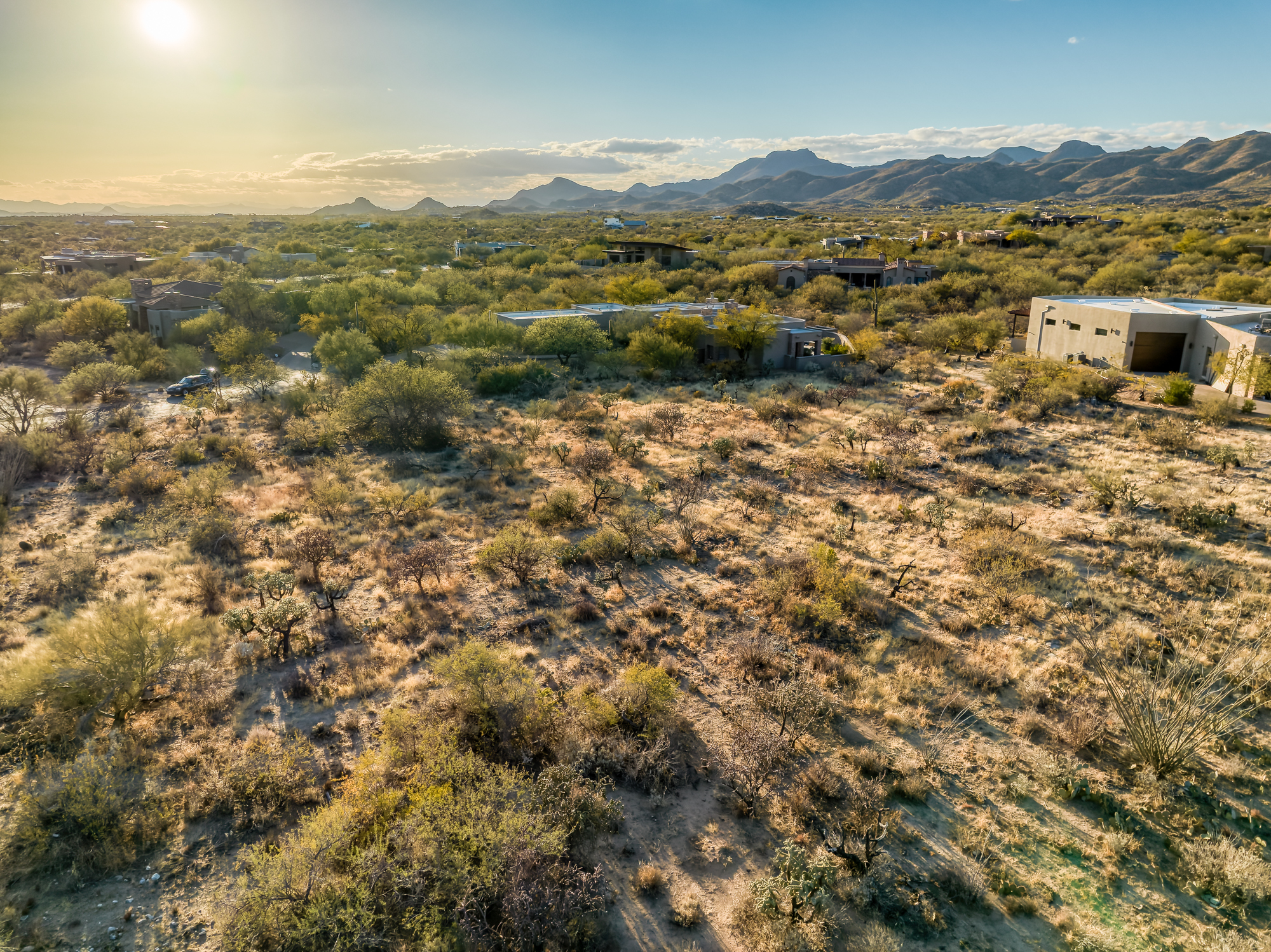  14191 N Giant Saguaro Place¦Oro Valley, AZ - 物件實景
