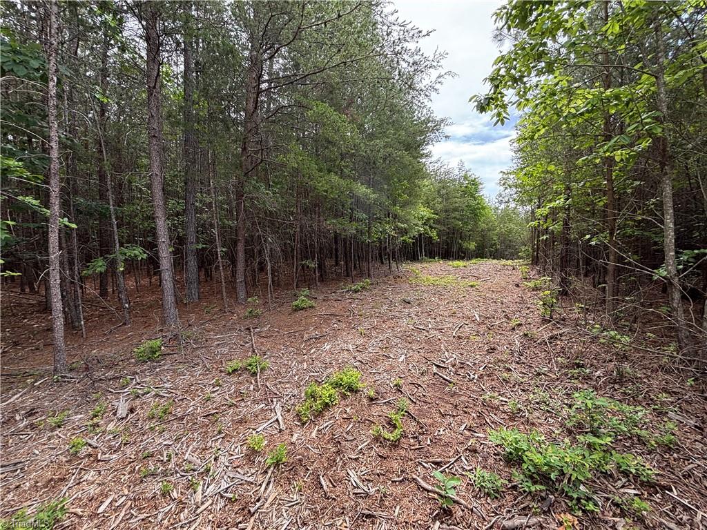 Pinnacle, North Carolina, 27043, United States, ,Land,For Sale,1829534