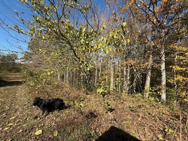 Willow Shade, Kentucky, 42166, United States, 3 Bedrooms Bedrooms, ,2 BathroomsBathrooms,Residential,For Sale,1991903