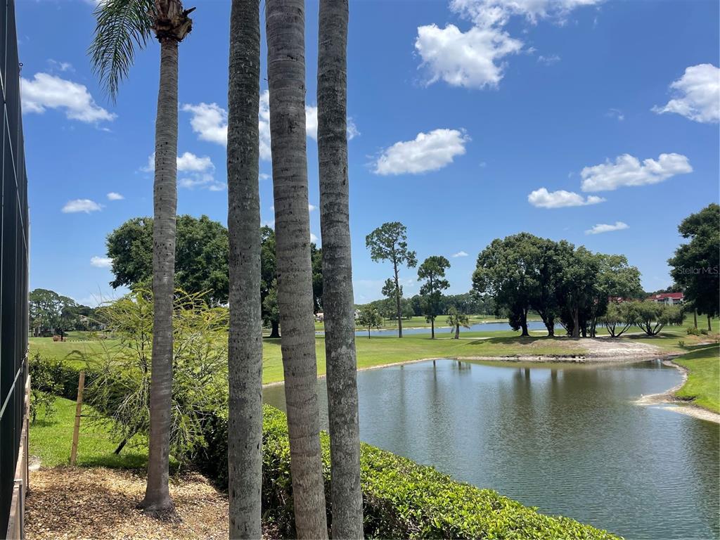 Lake Mary, Florida, 32746, United States, 4 Bedrooms Bedrooms, ,4 BathroomsBathrooms,Residential,For Sale,2000919