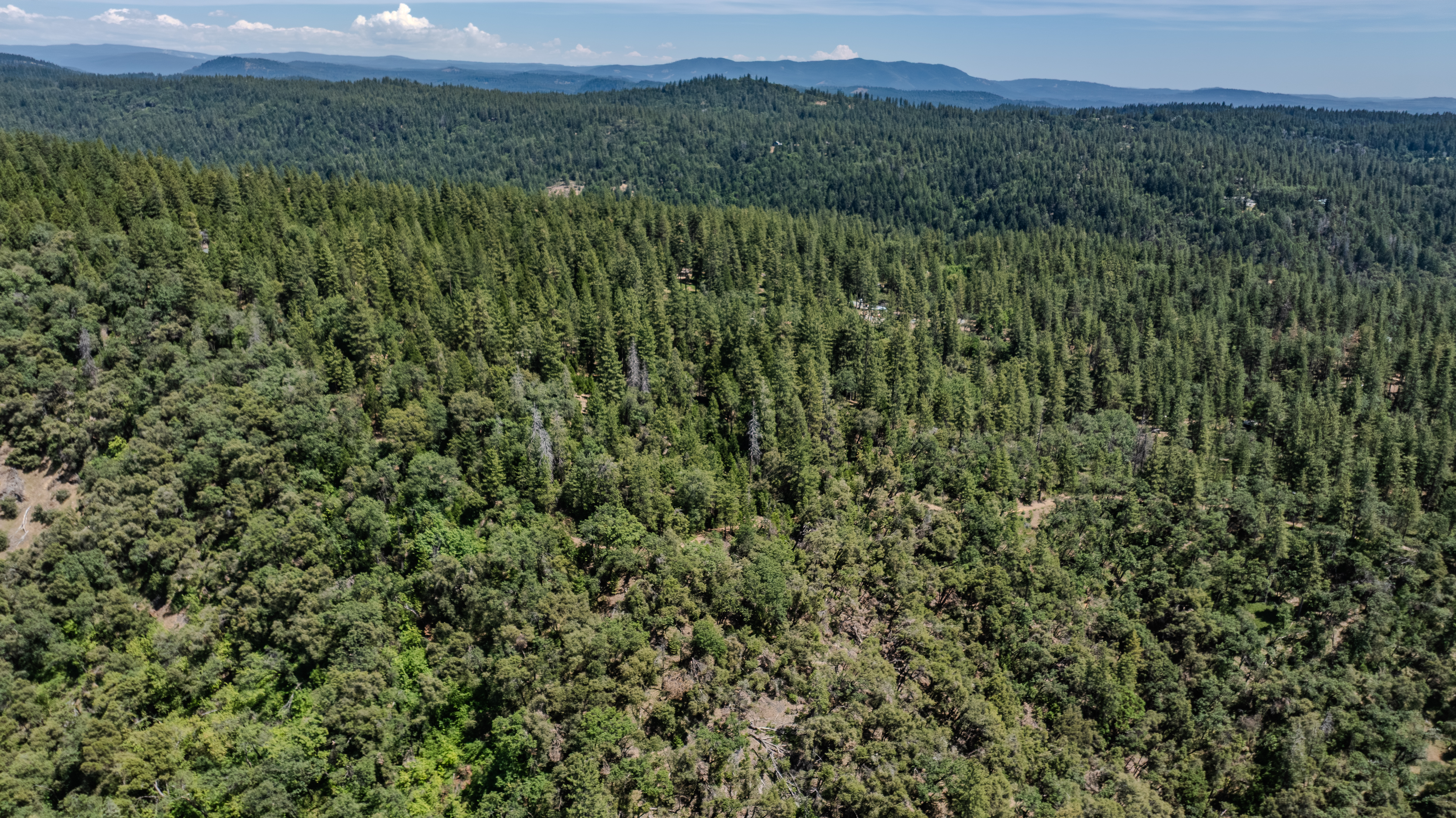  24100 Canterbury Road, Pioneer, CA 95666 - 物件實景