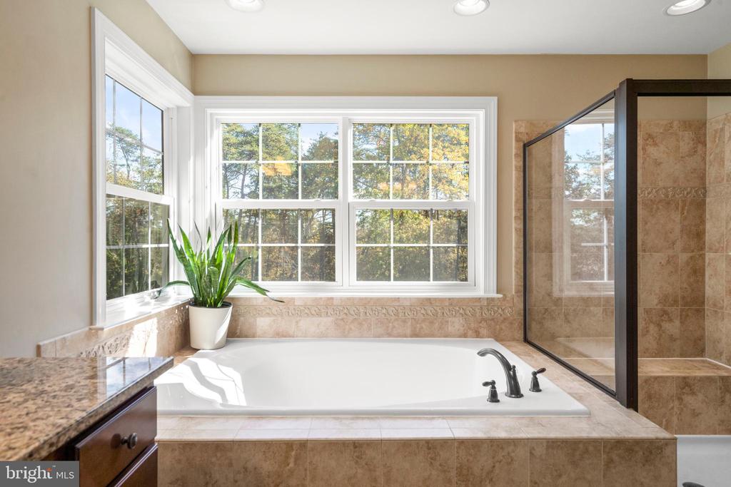 Broadlands, Virginia, 20148, United States, 5 Bedrooms Bedrooms, ,5 BathroomsBathrooms,Residential,For Sale,1977540