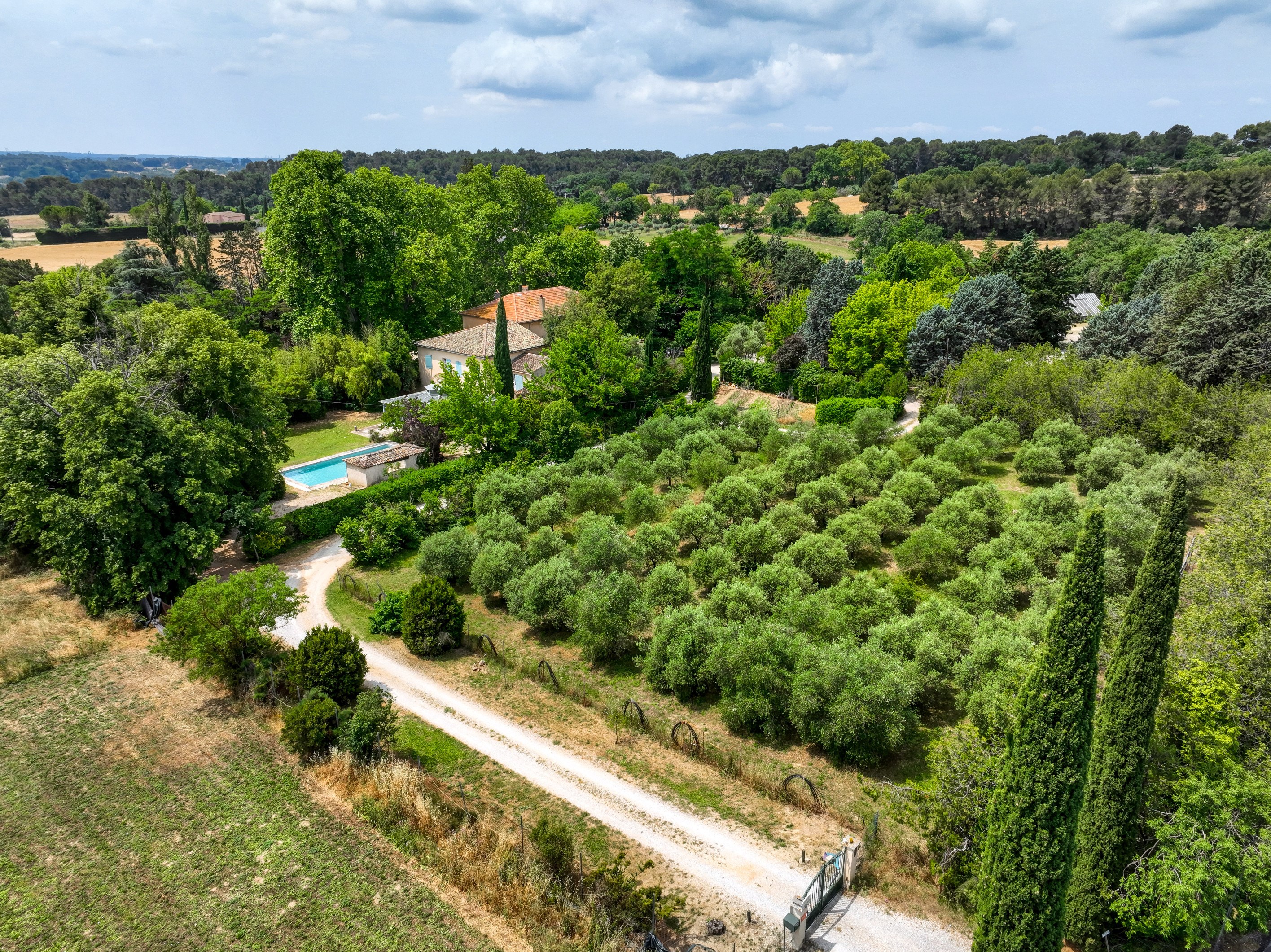  DOMAIN WITH 4 HOUSES AND A BASTIDE XVIII - 物件實景