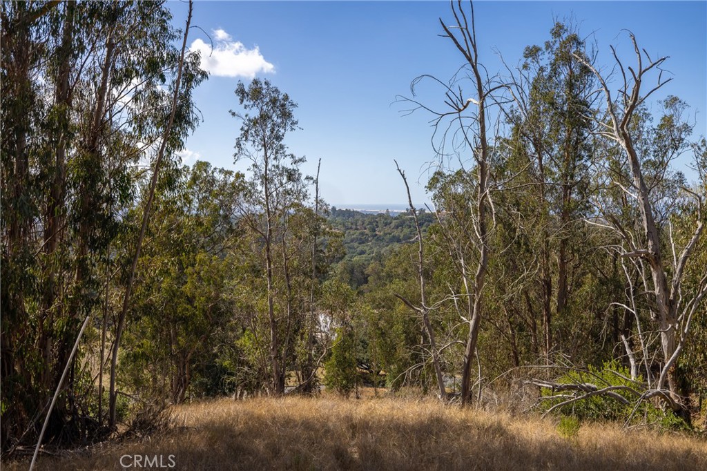 Arroyo Grande, California, 93420, United States, ,Land,For Sale,1976648
