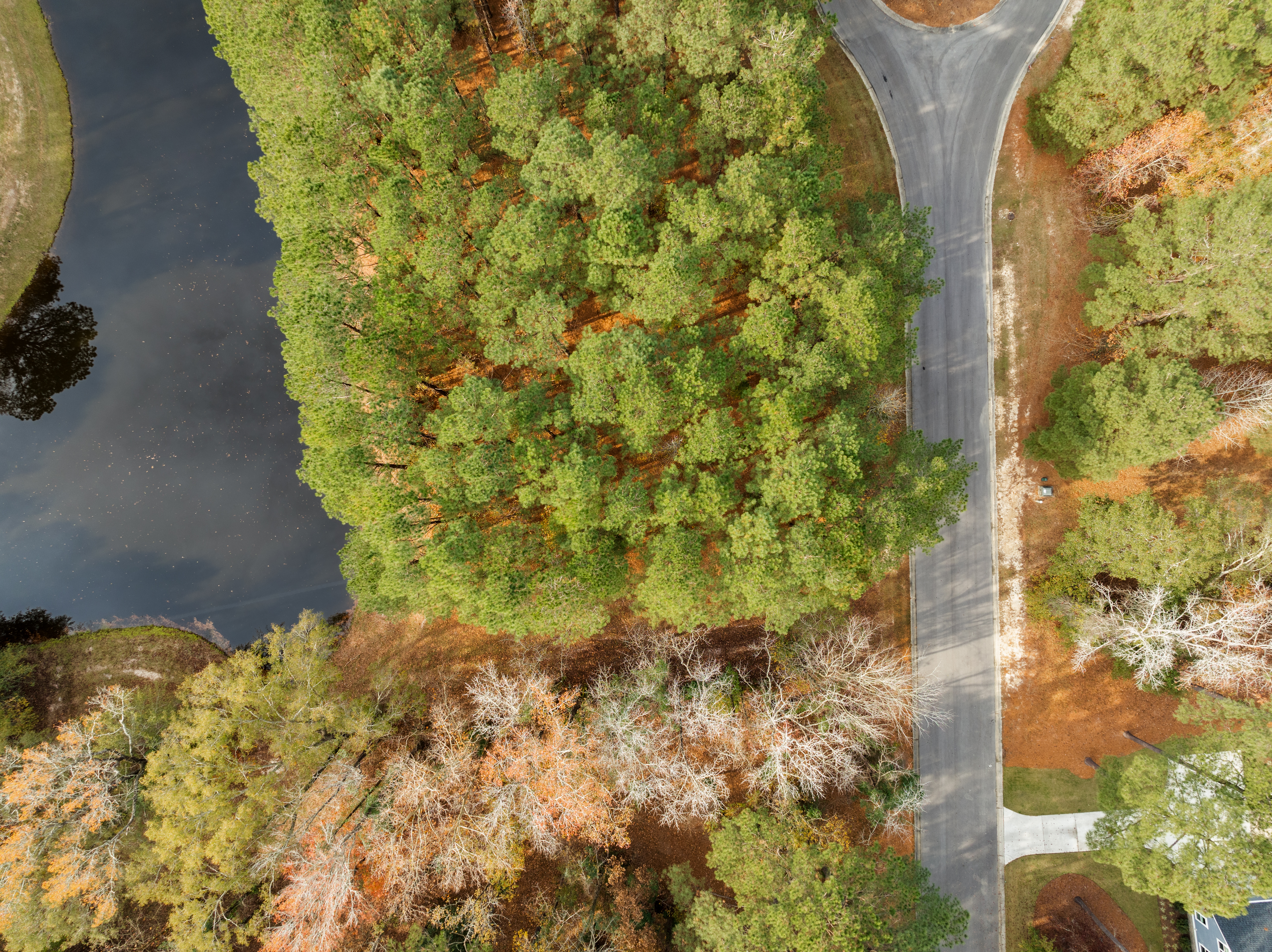  111 Loblolly Court, Wallace, NC 28466 - 物件實景