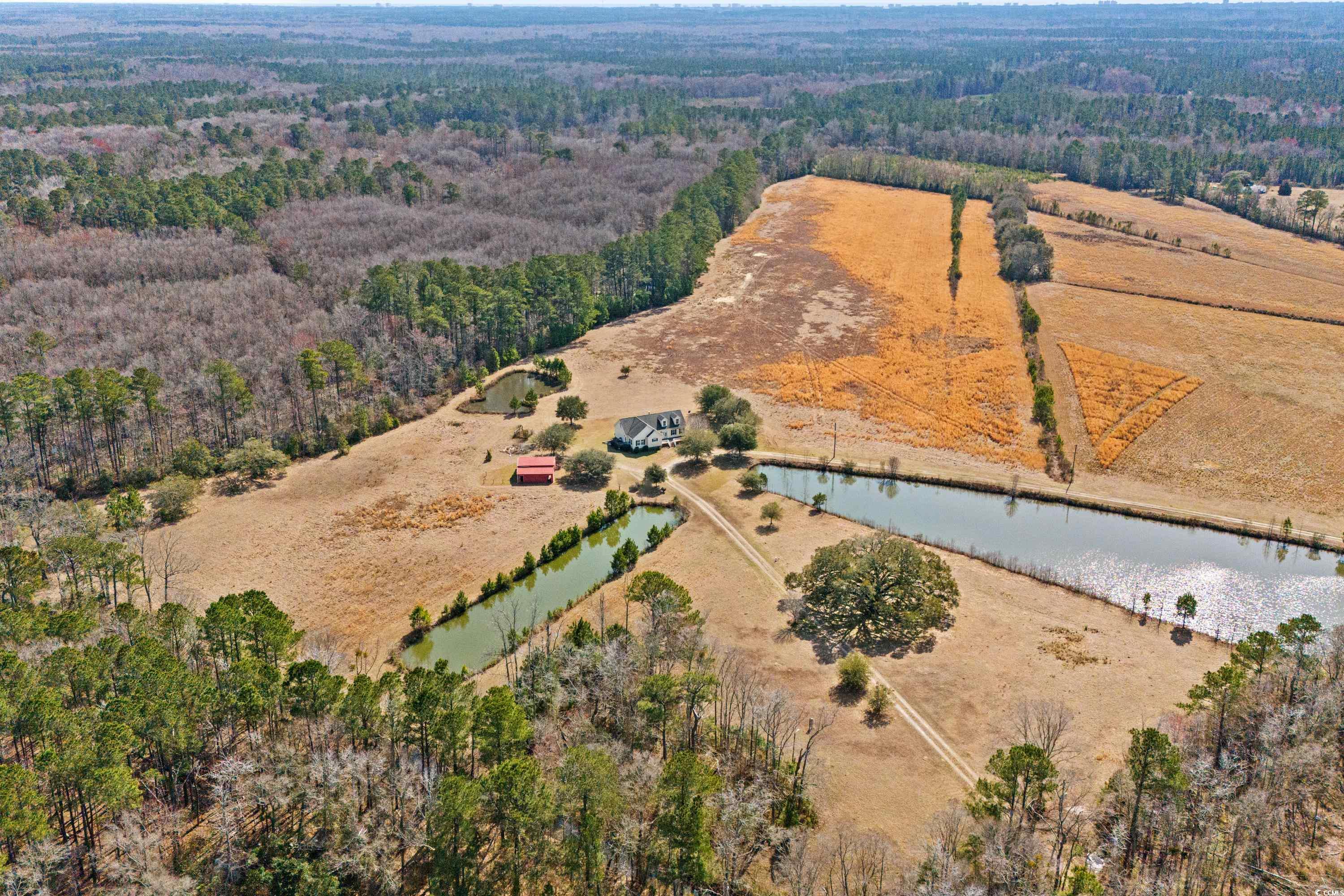Longs, South Carolina, 29568, United States, ,Land,For Sale,1838298