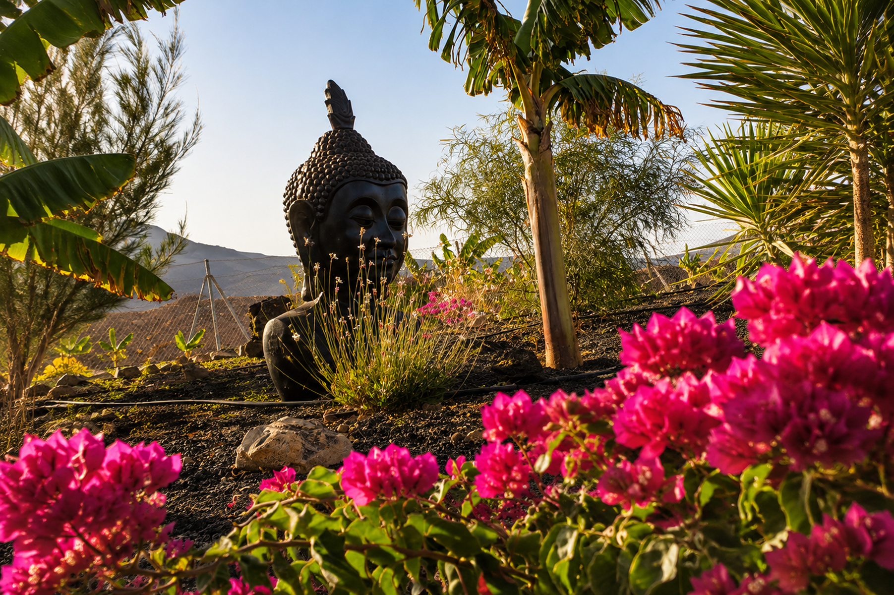  Retirement and Wellness Property in Tarajalejo, Fuerteventura - 物件實景