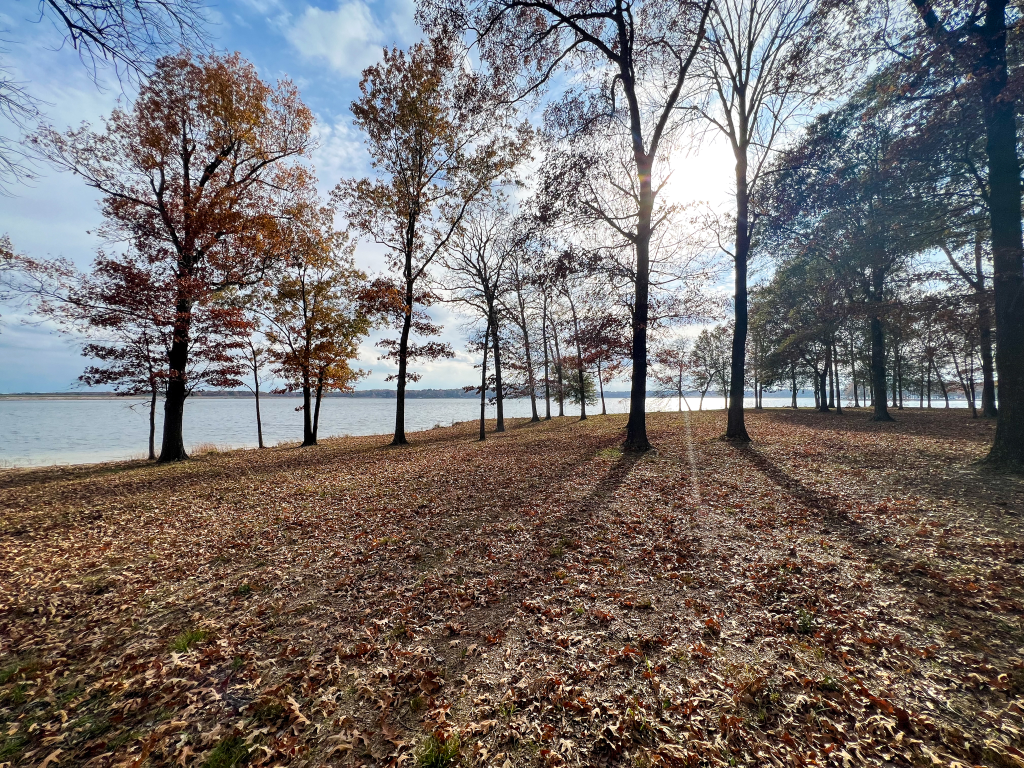 Mt Vernon, Texas, 75457, United States, ,Residential,For Sale,1861116