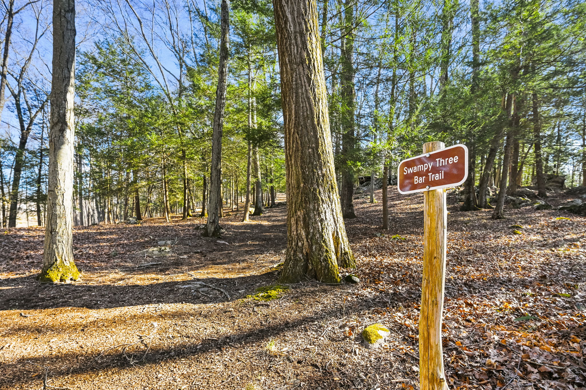  Gated Acres in Northern Fairfield County - 物件實景